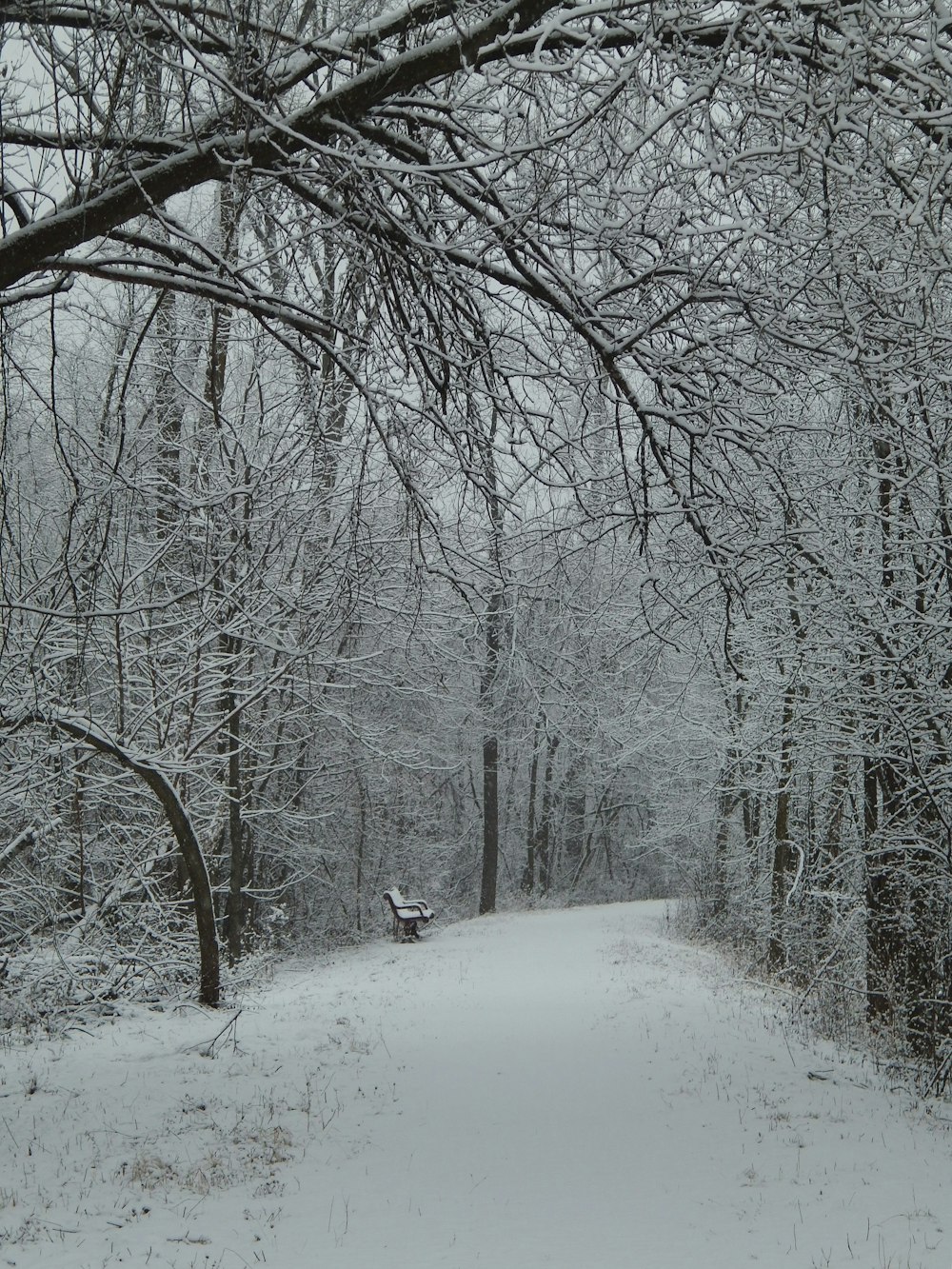 a snow covered road in the middle of a forest