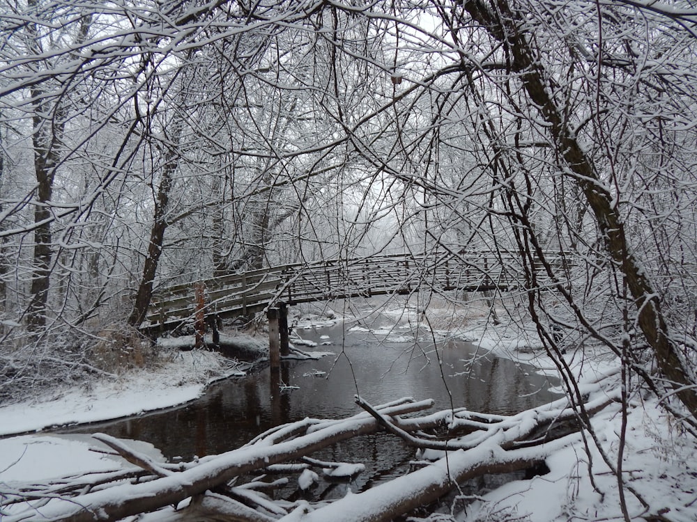 uma ponte sobre um pequeno riacho em uma floresta nevada