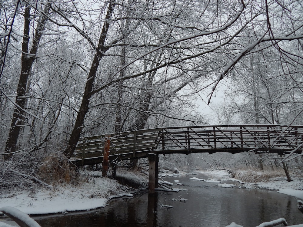 a bridge over a stream in a snowy forest