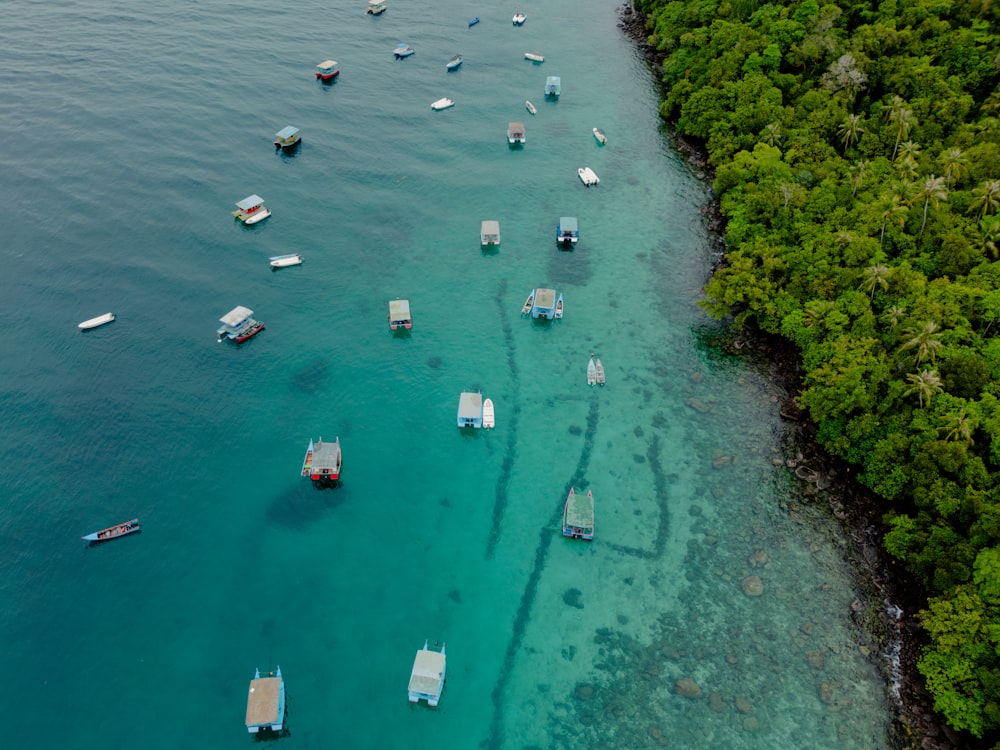 a group of boats floating on top of a body of water