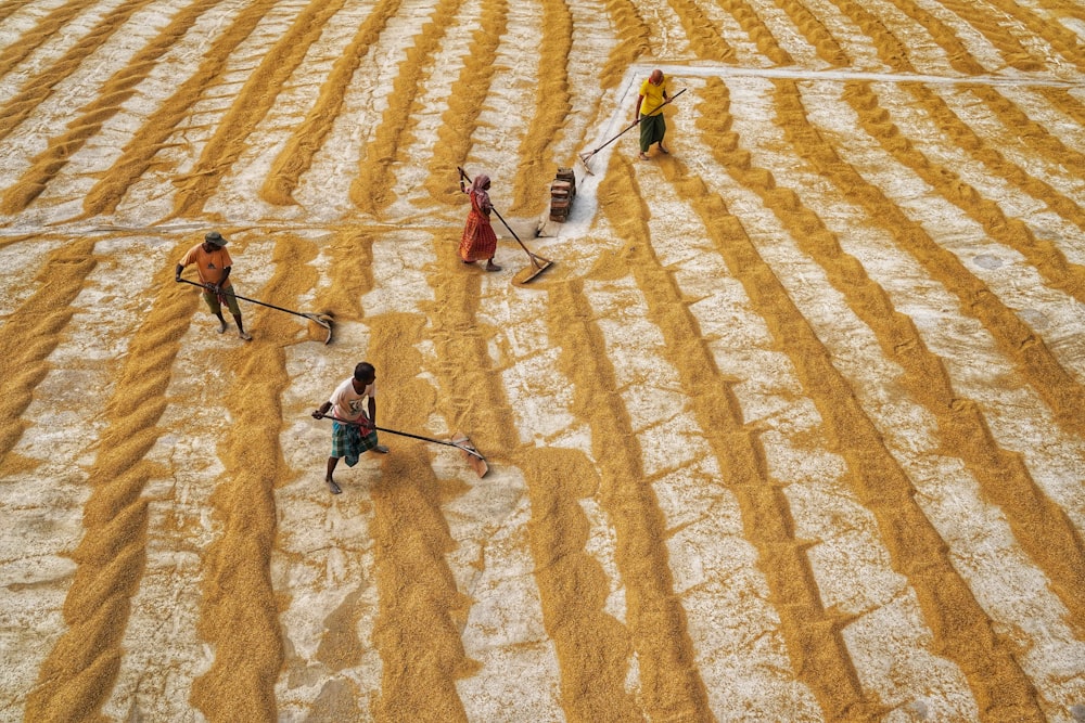 a group of people walking across a field covered in snow