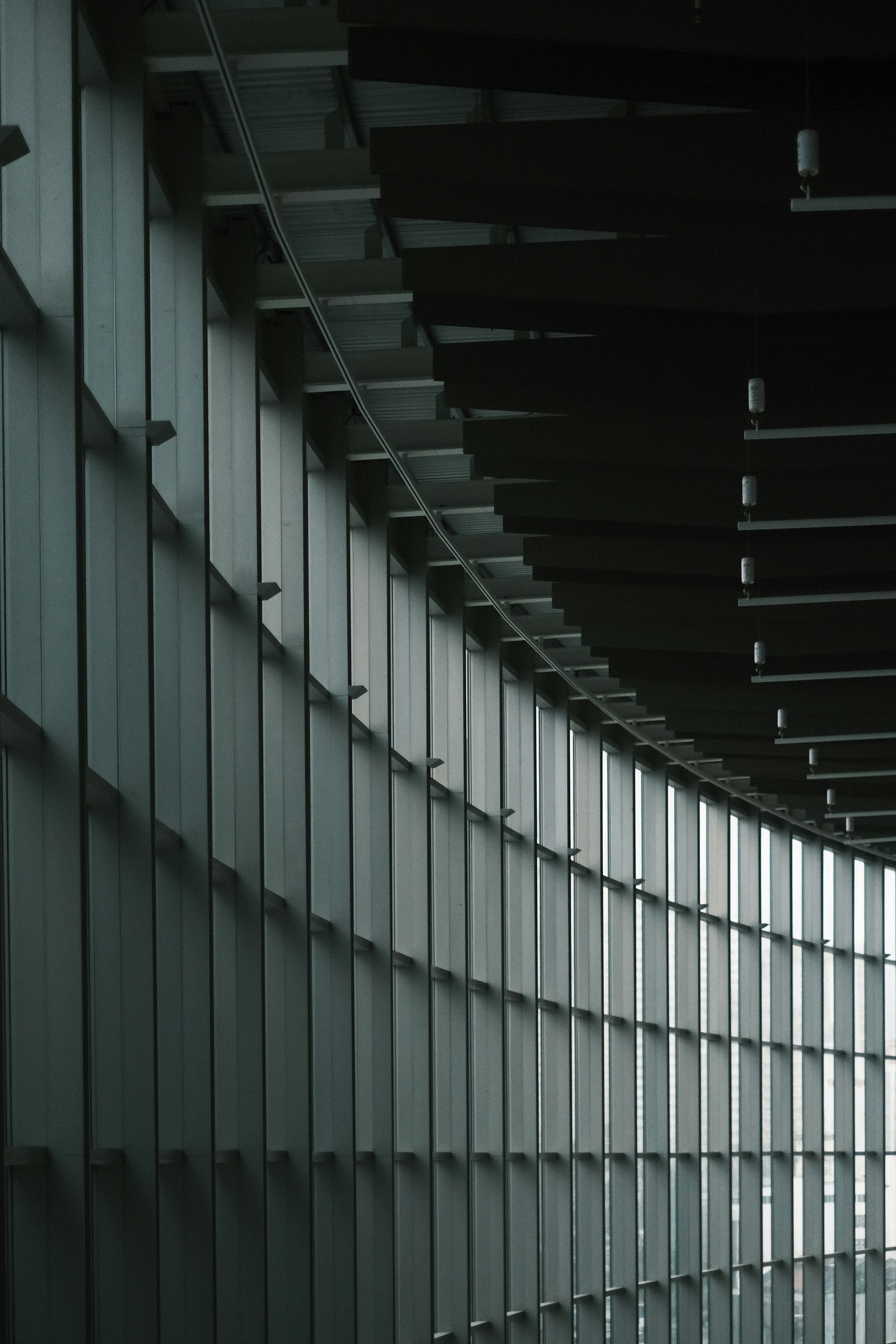 Photo by subspace_stills