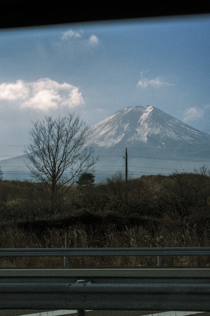 Mount Fuji (Shimizu), Japan port