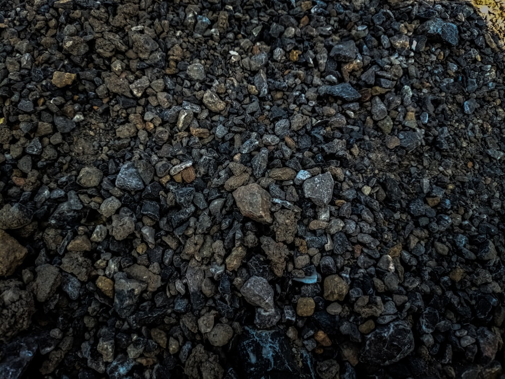 a pile of rocks sitting next to a tree