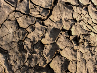 a close up of a cracked rock surface
