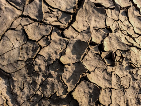 a close up of a cracked rock surface