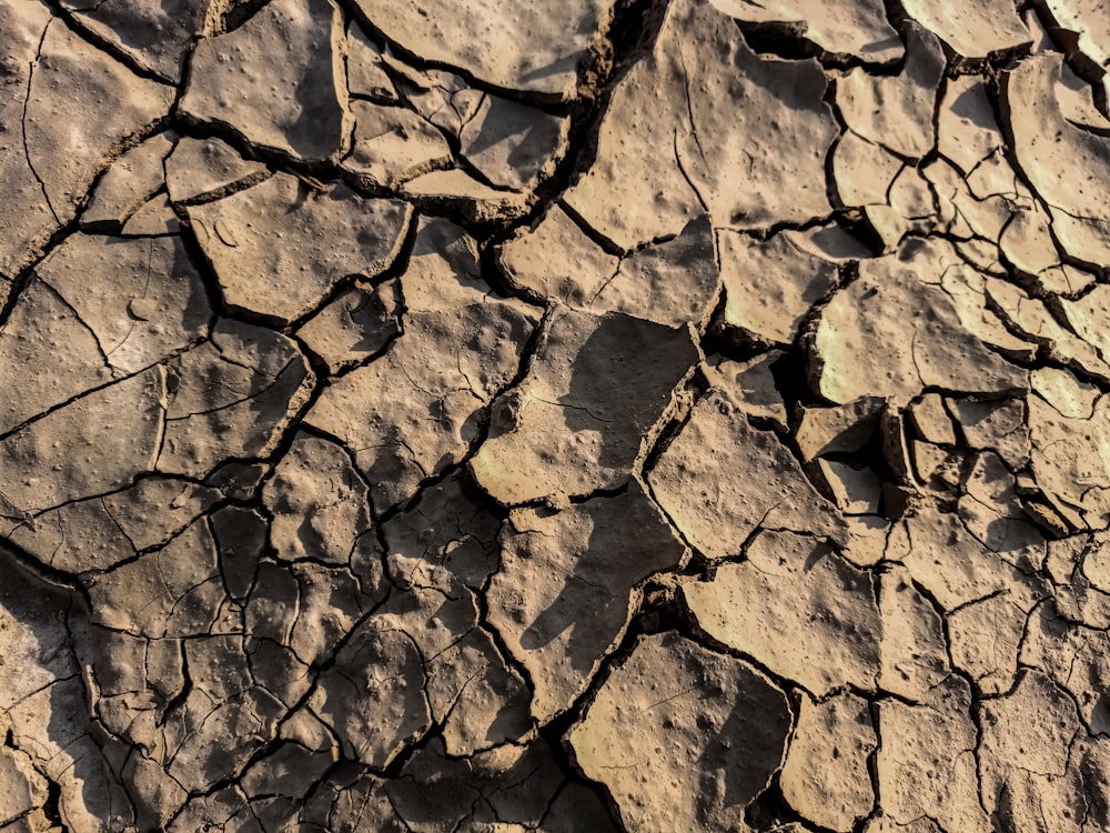 a close up of a cracked rock surface