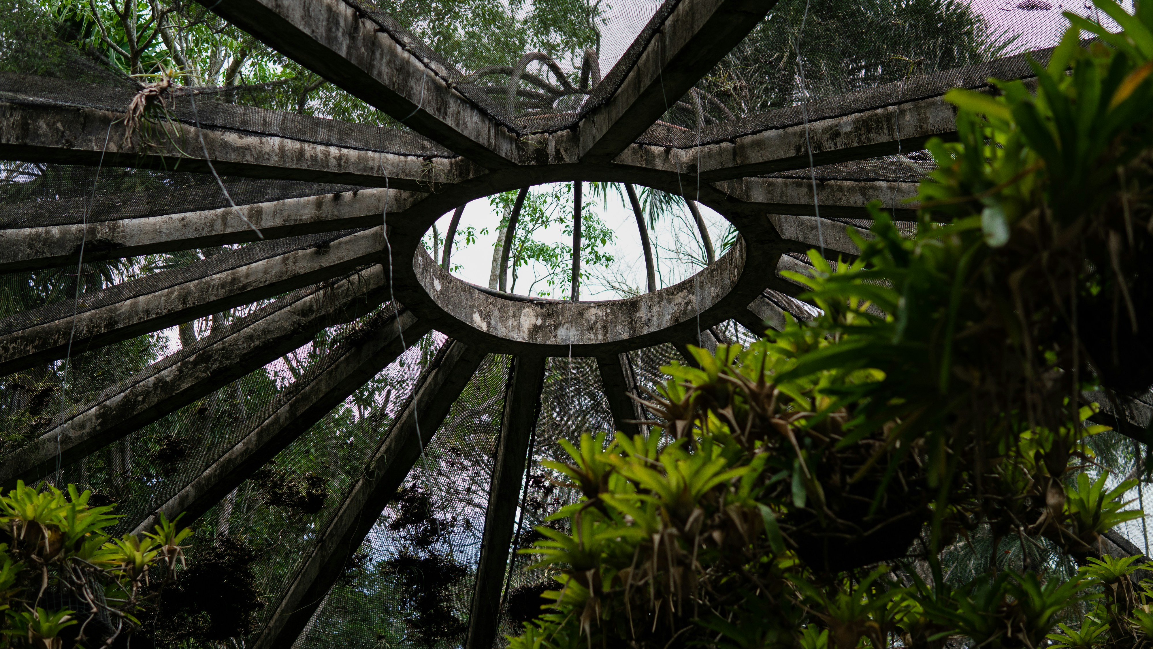 a circular wooden structure surrounded by trees and plants