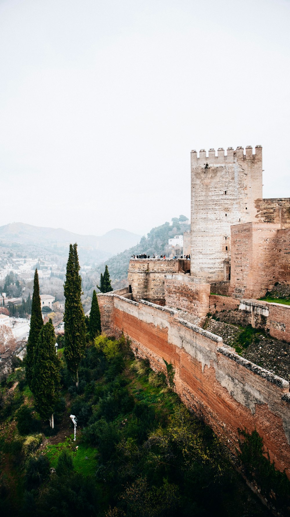 a view of a castle from a high point of view