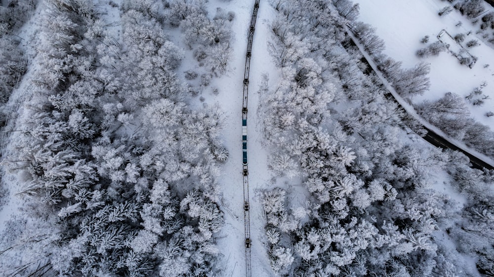 Un tren viajando a través de un bosque cubierto de nieve