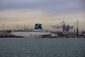 a large cruise ship docked in a harbor