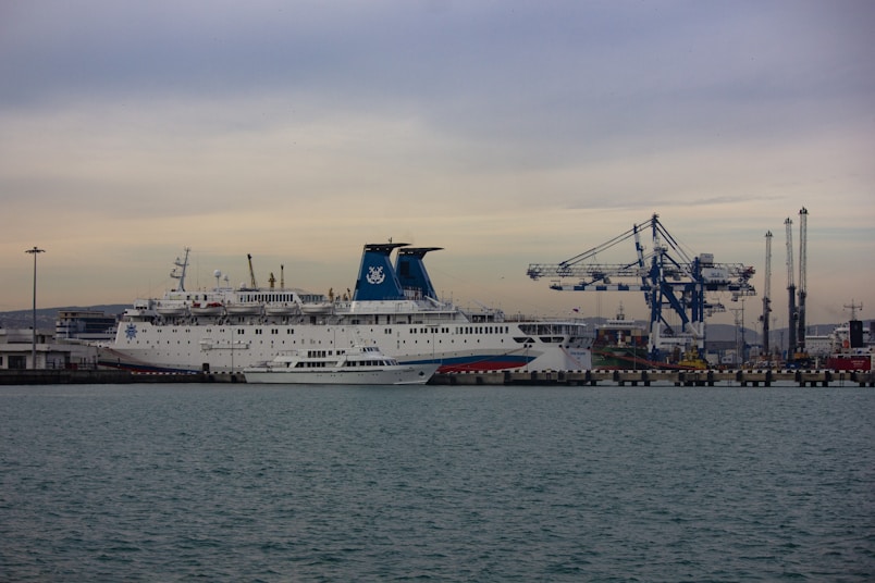 a large cruise ship docked in a harbor