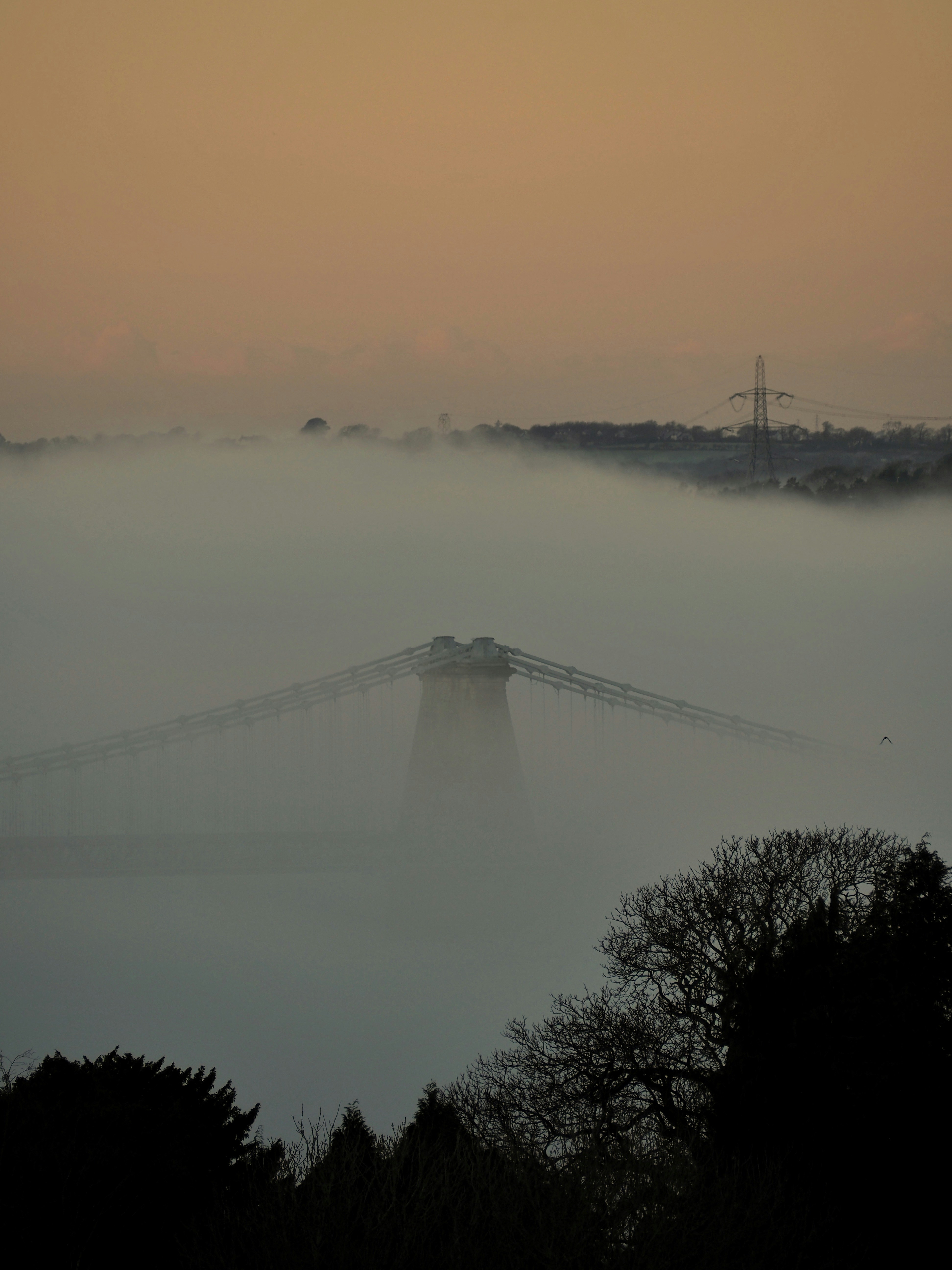 a bridge in the middle of a foggy field