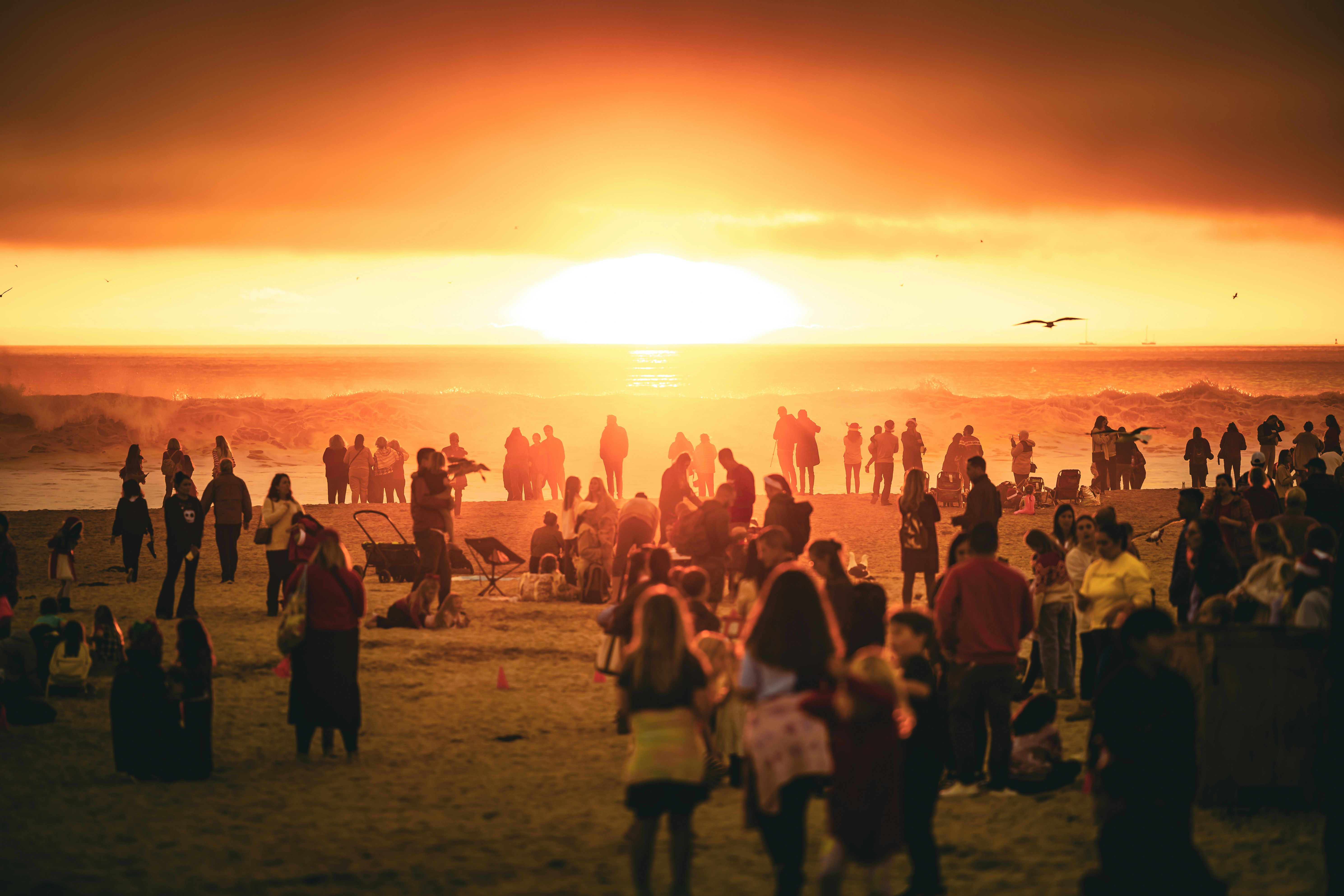 Photo by curatorsofdesign