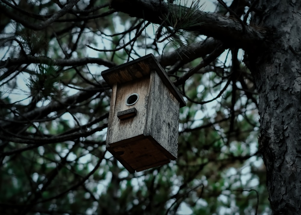 a bird house hanging from a tree branch