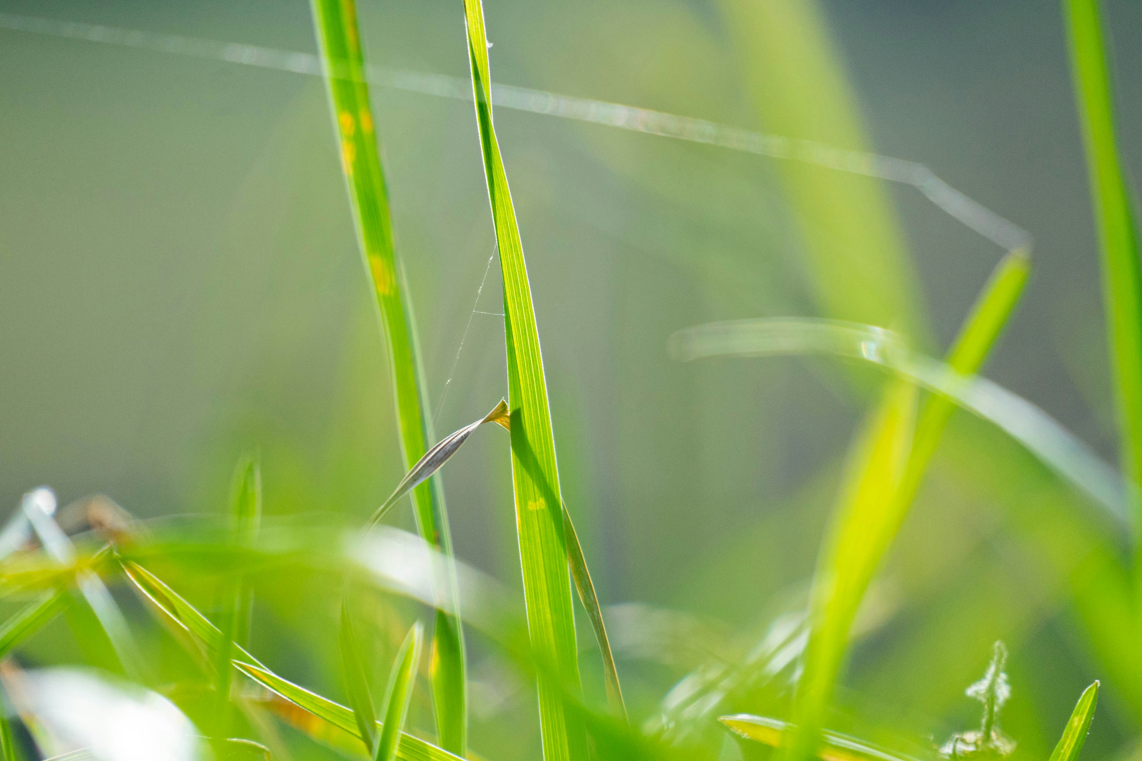 Photo by danielsphotograpic