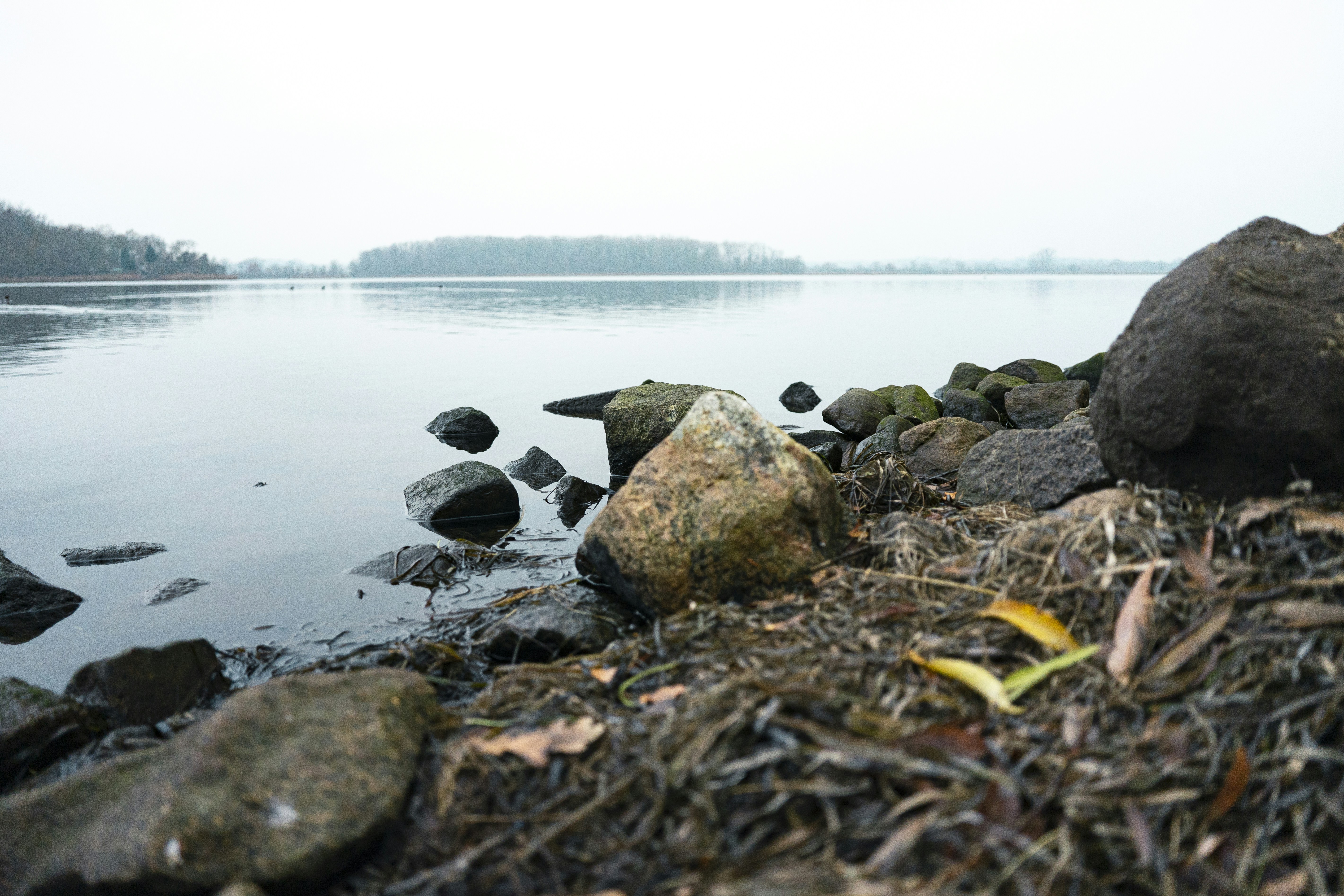 Photo by danielsphotograpic