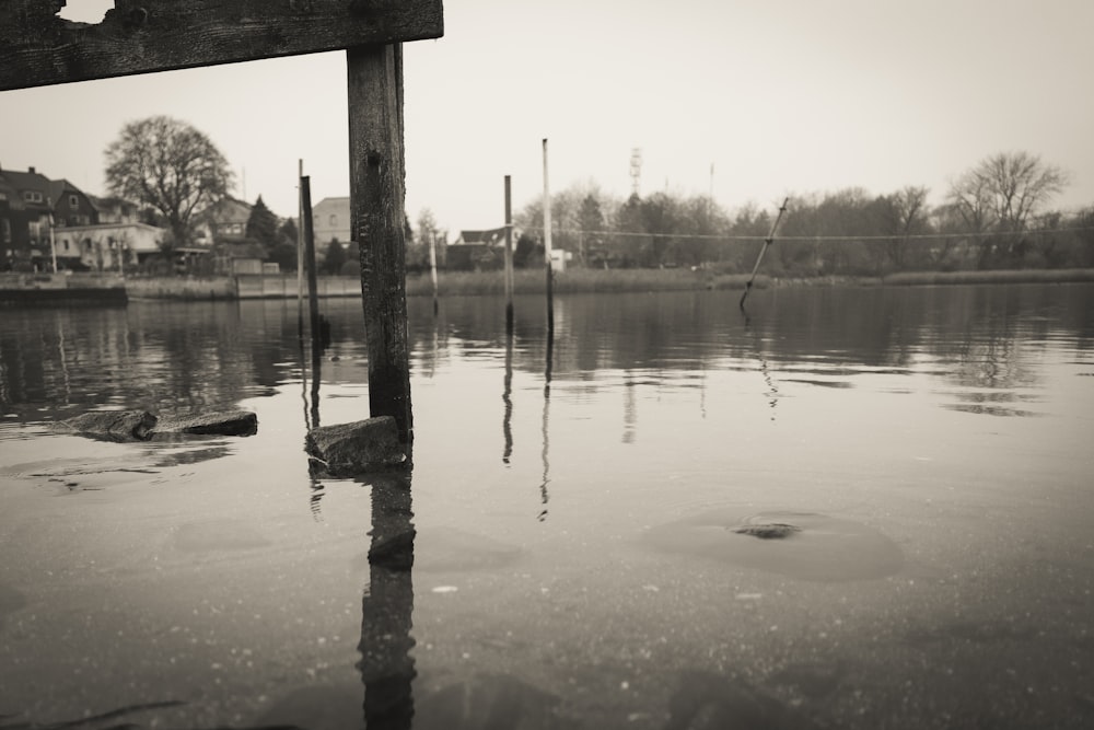 a black and white photo of a body of water