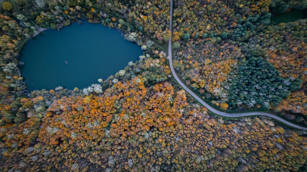 an aerial view of a road winding through a forest