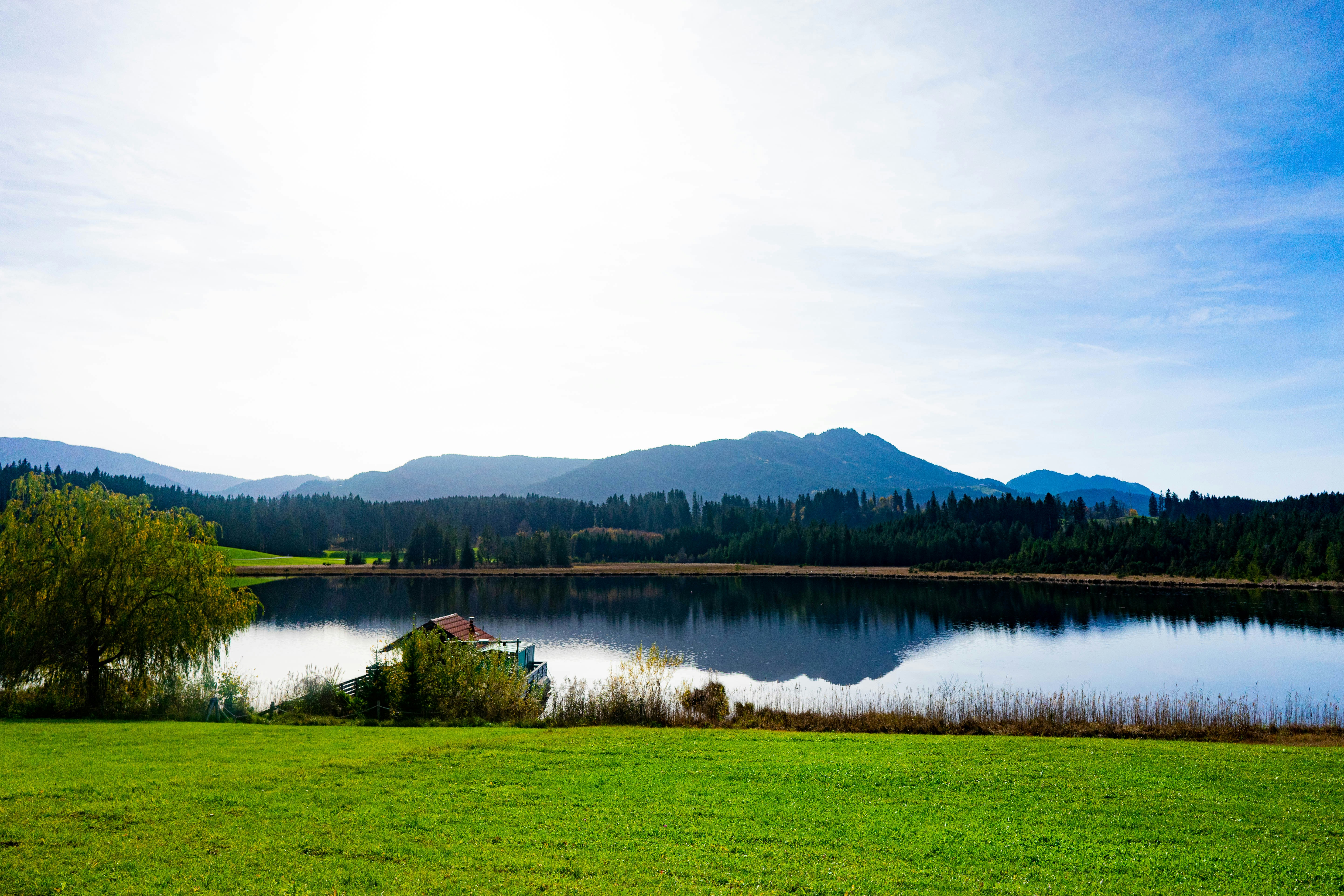 Photo by danielsphotograpic