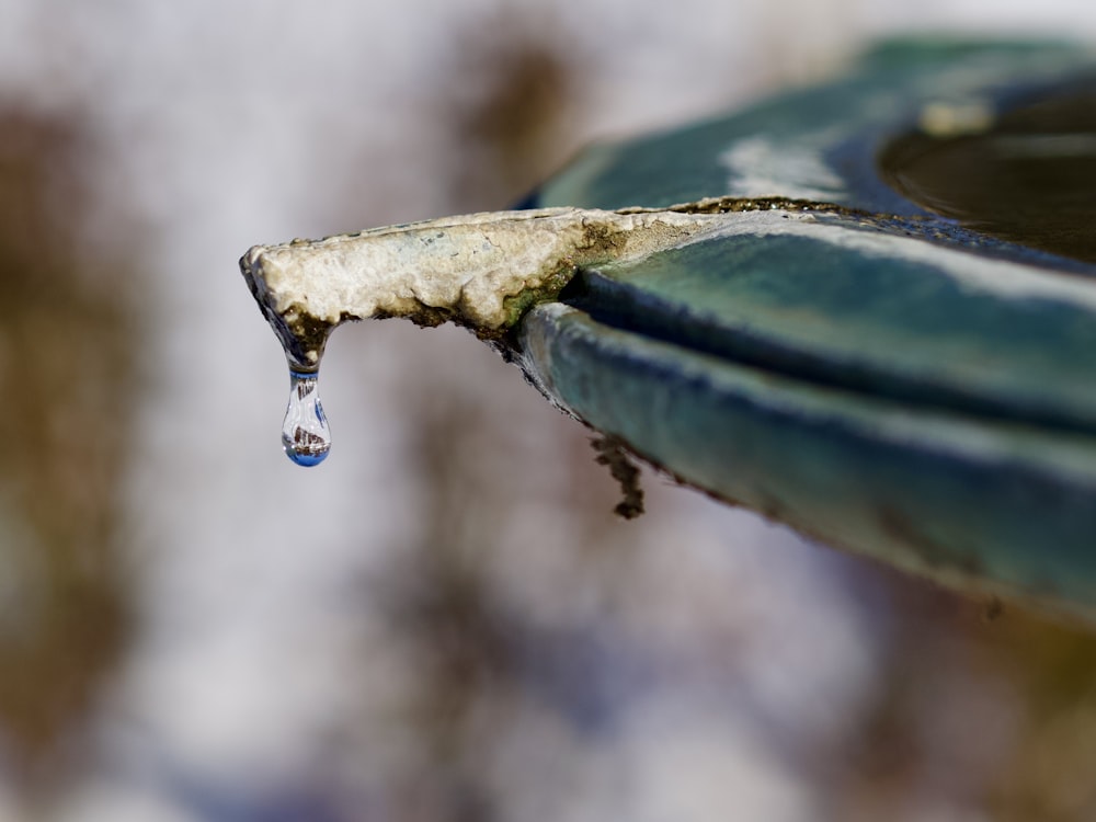 a close up of a bird bath with a drop of water