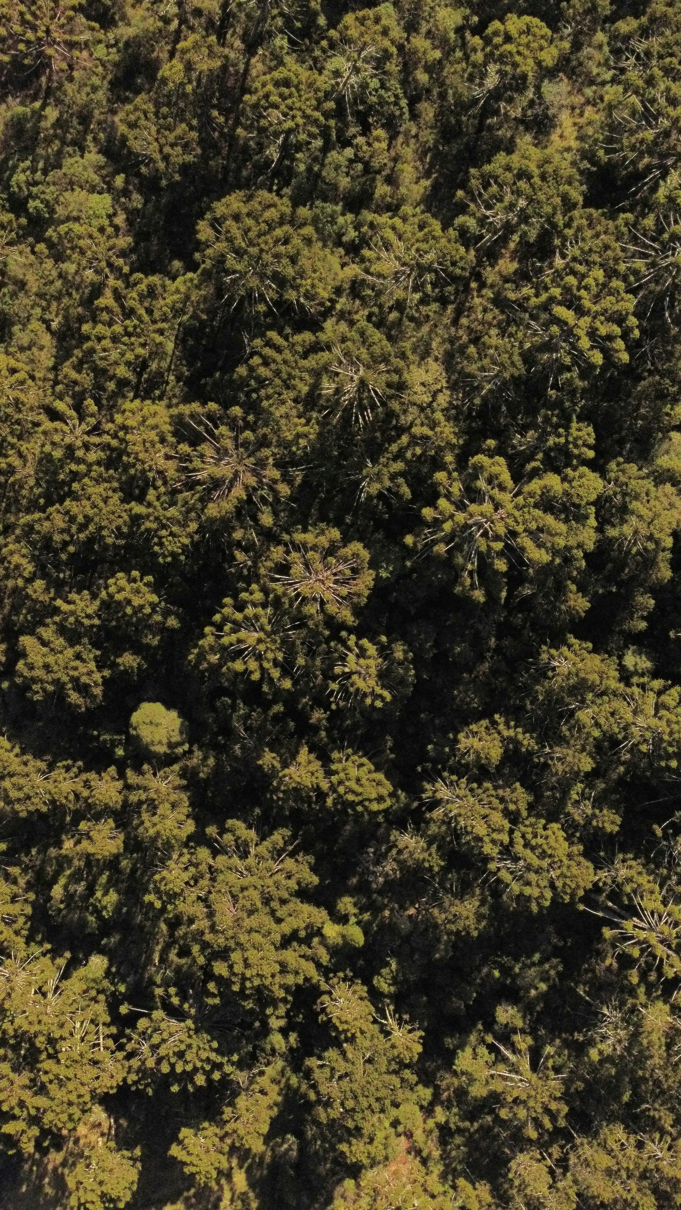 Photo by dougschneiders