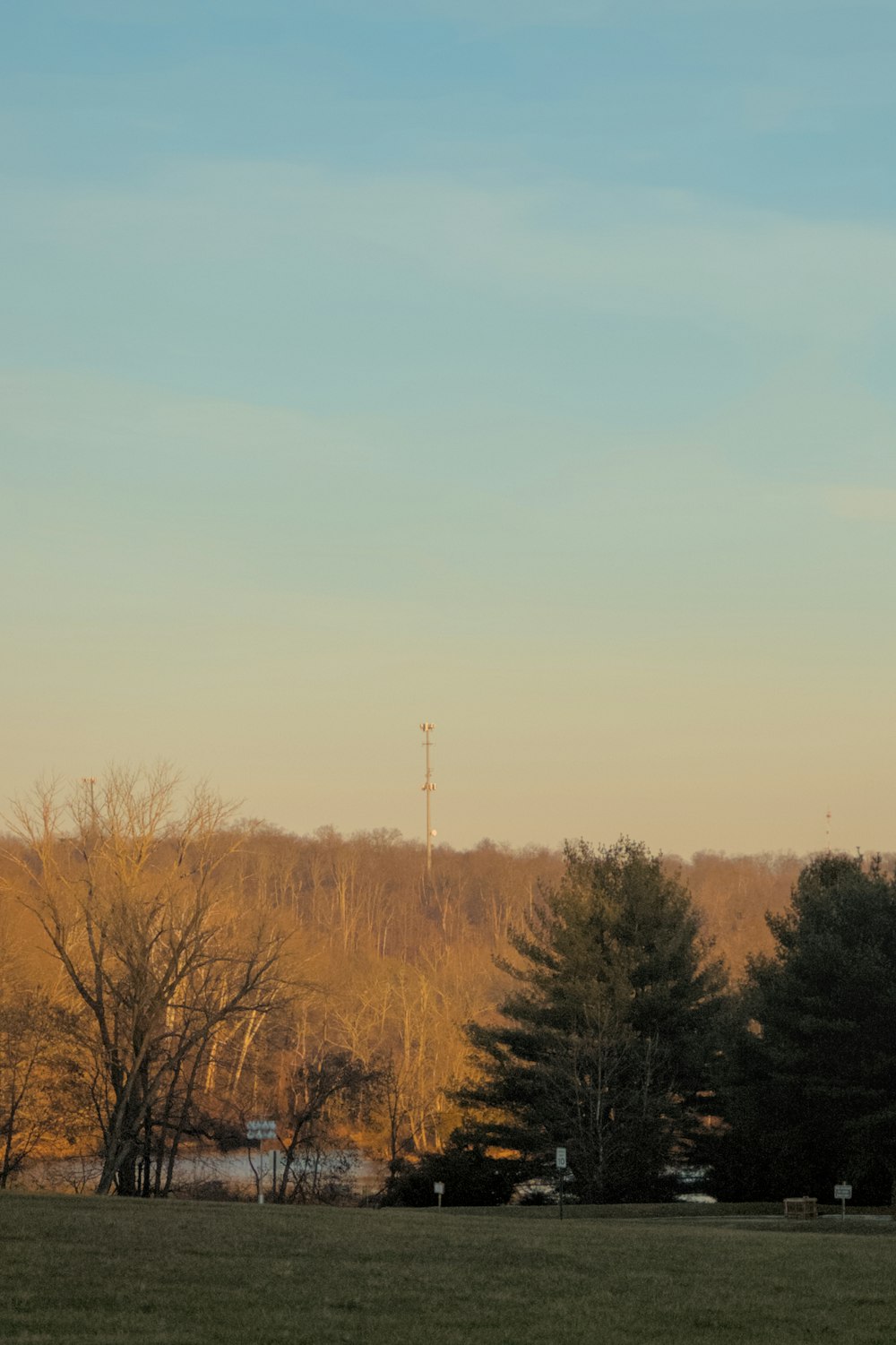 a grassy field with trees and a radio tower in the distance