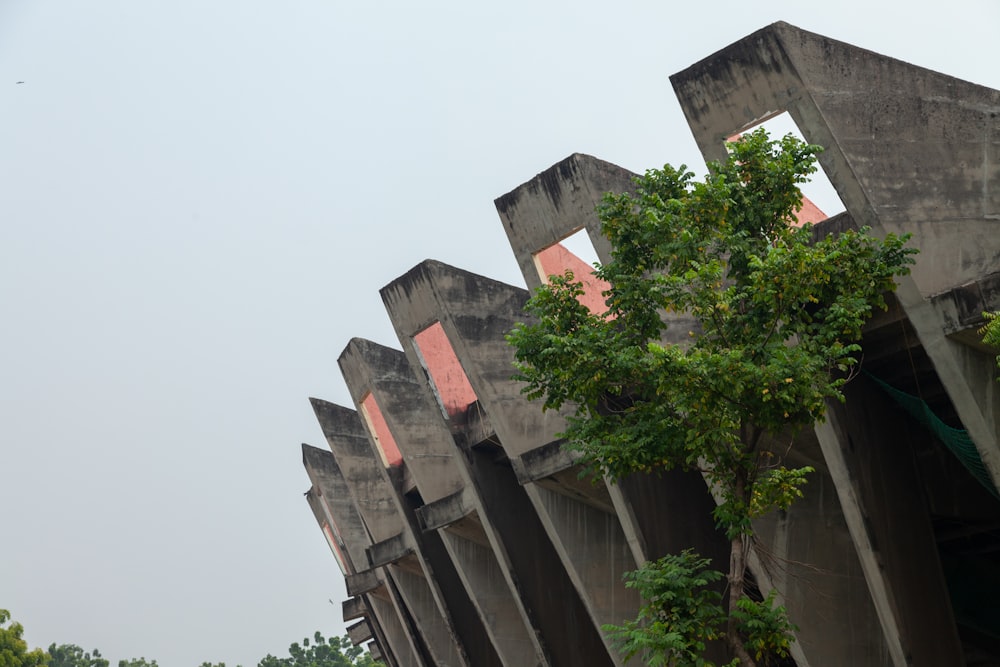 a row of concrete structures with a tree in the foreground