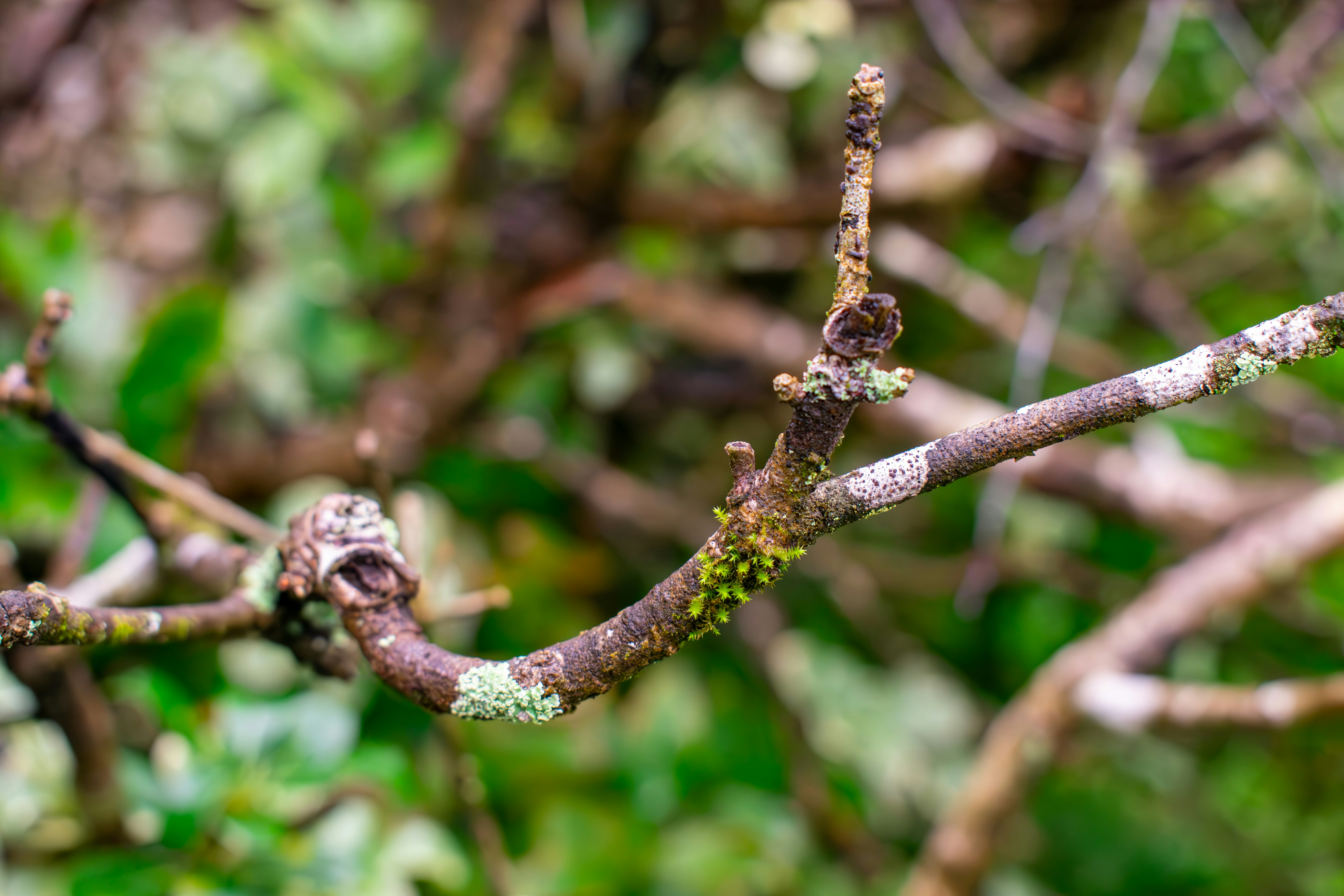 Photo by astro_civil