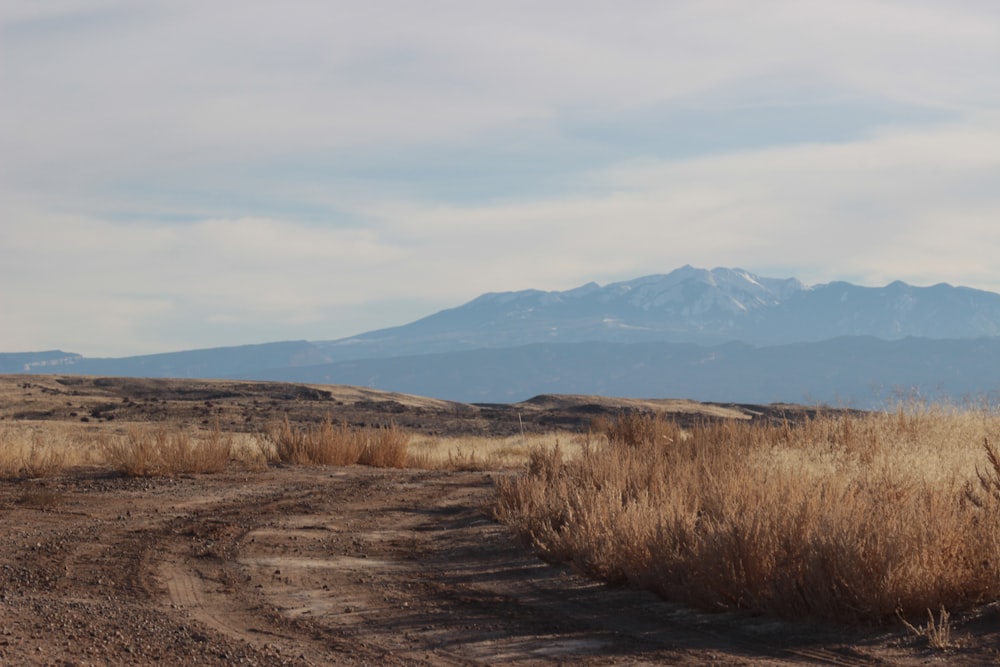 a dirt road with a mountain in the background