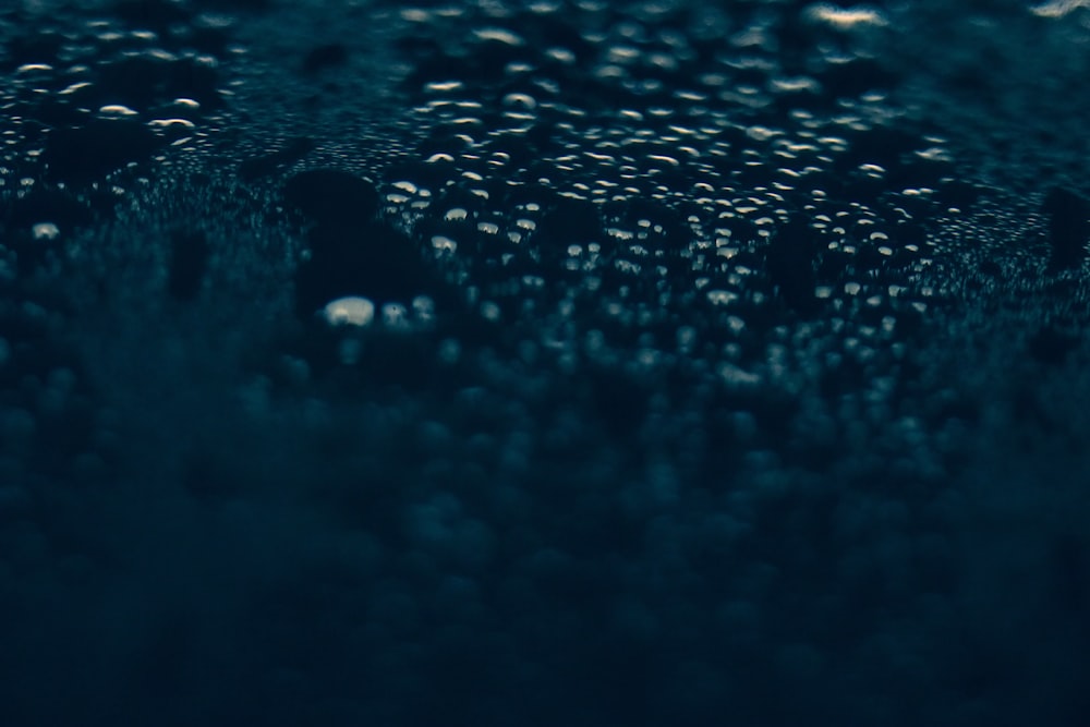 a close up of water droplets on a surface