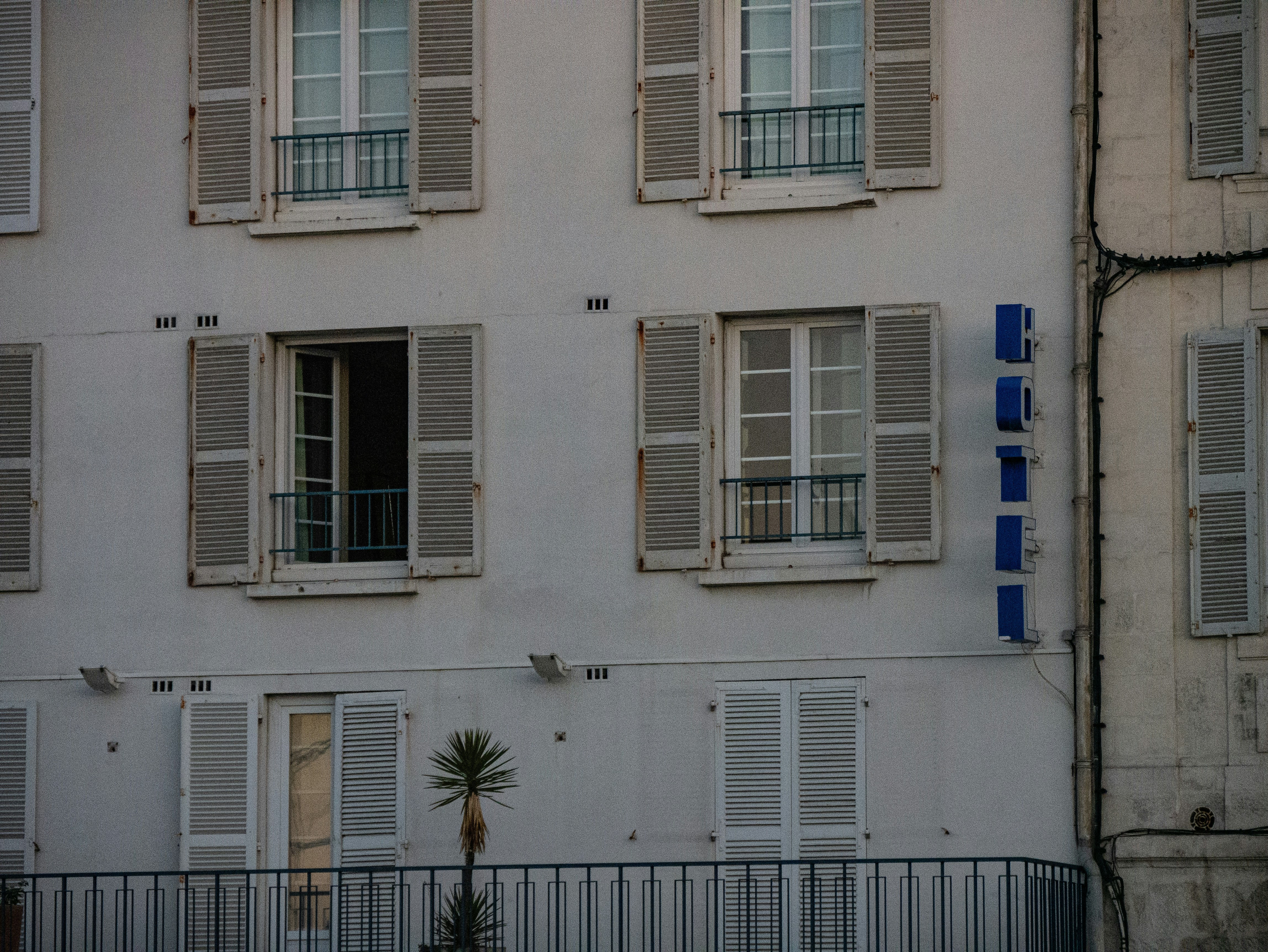 Toilettage Aux Chiens Chics