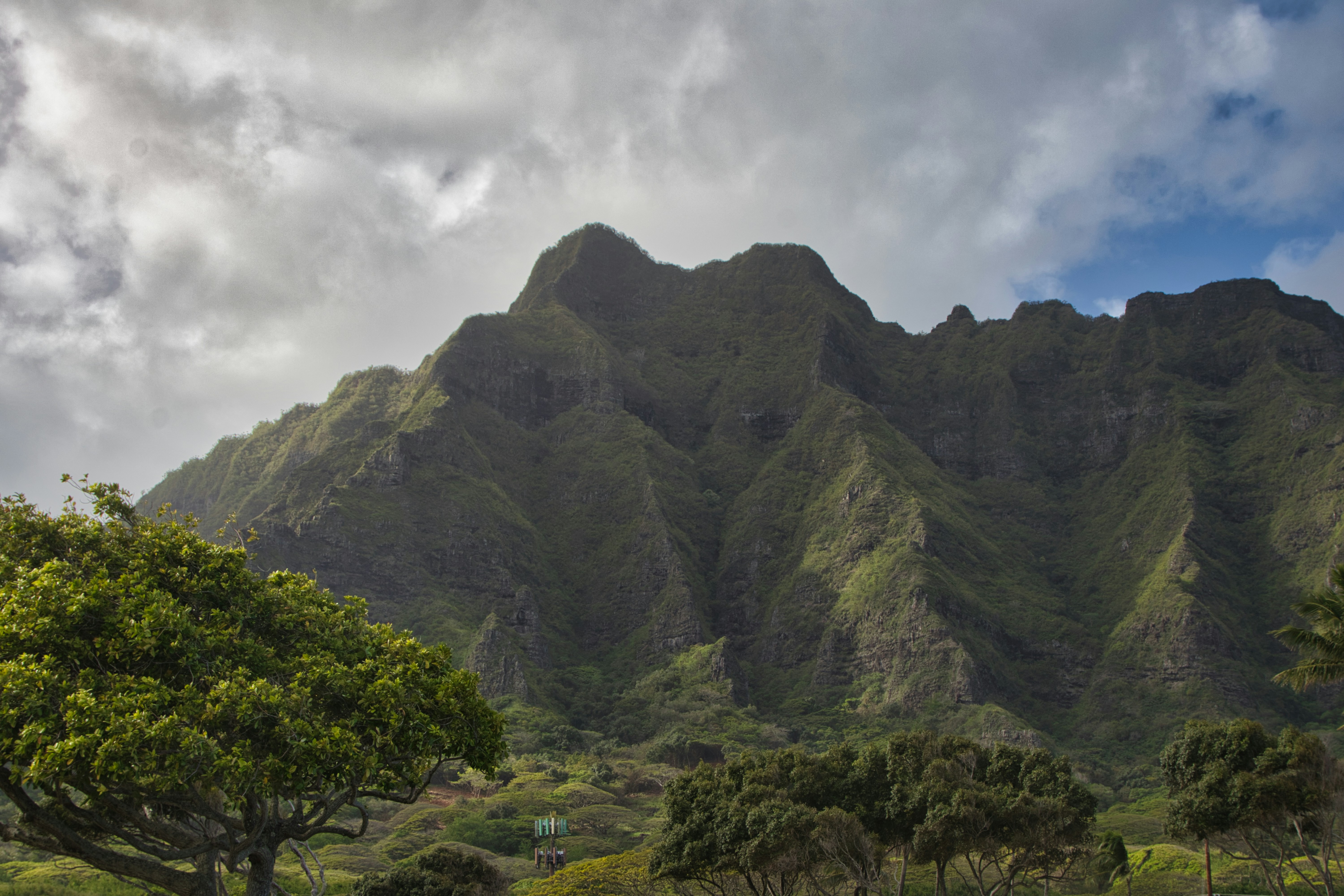 a lush green field with a mountain in the background