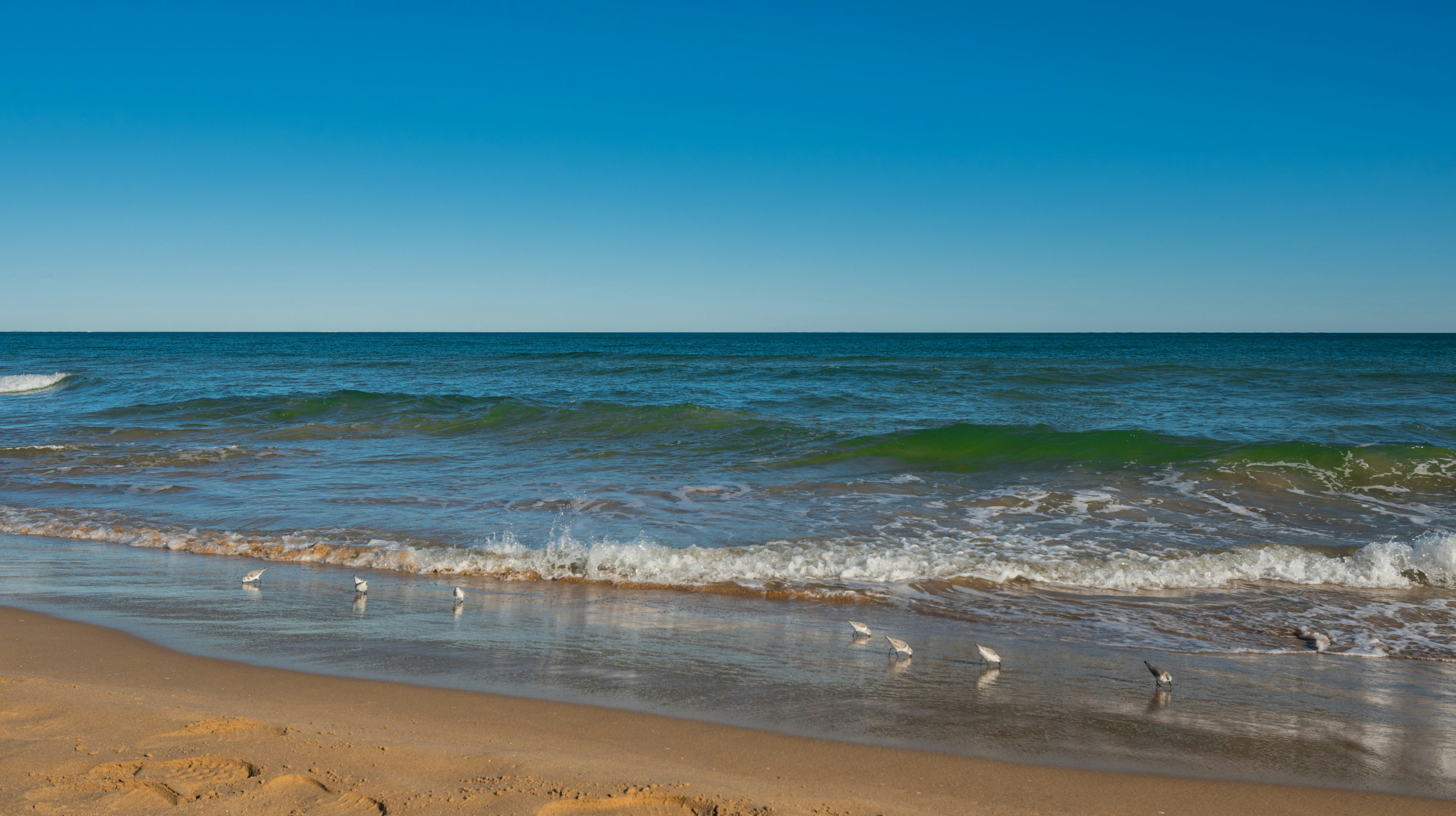 a person riding a surfboard on top of a wave, 