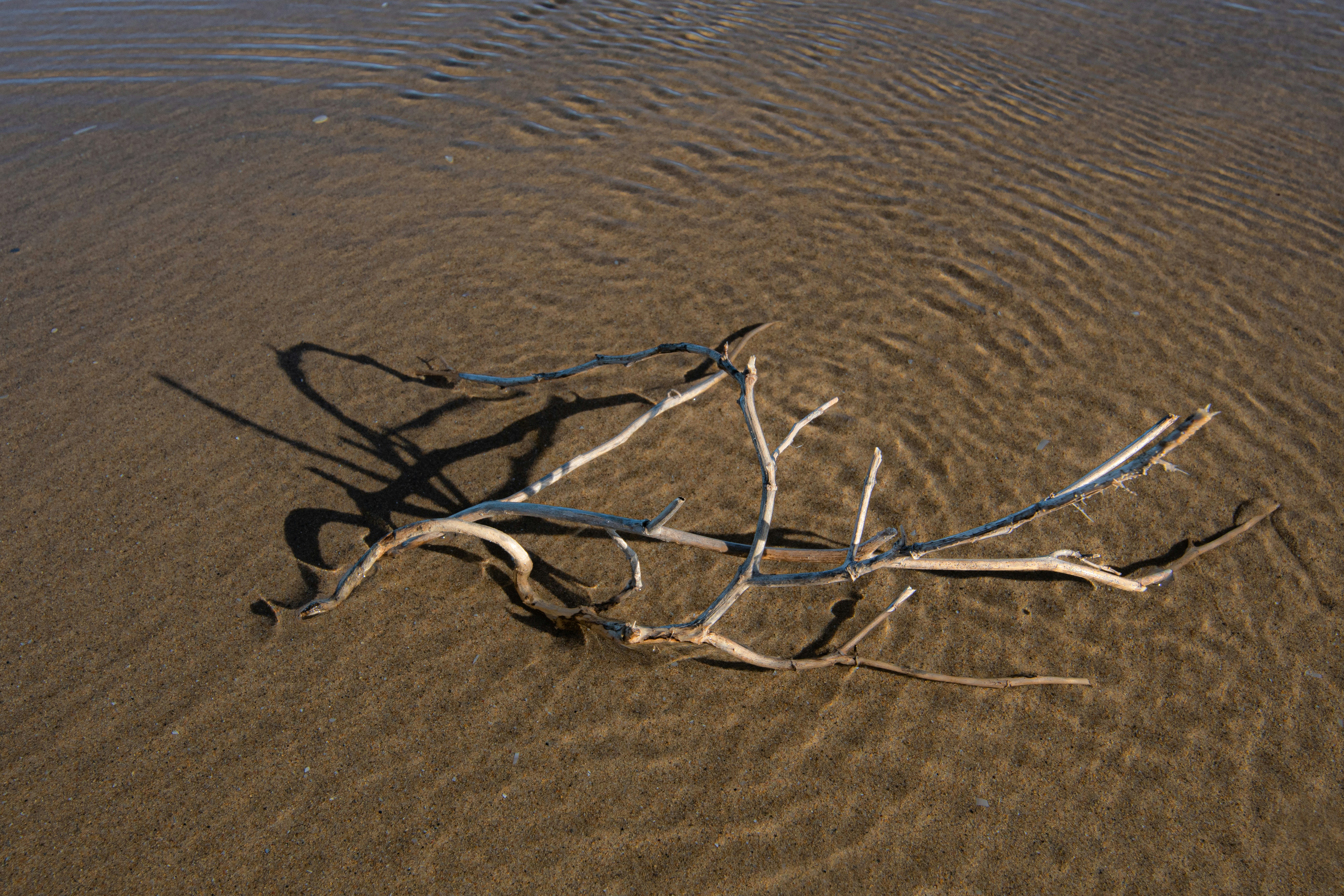 Photo by nataliaraylenegusakova