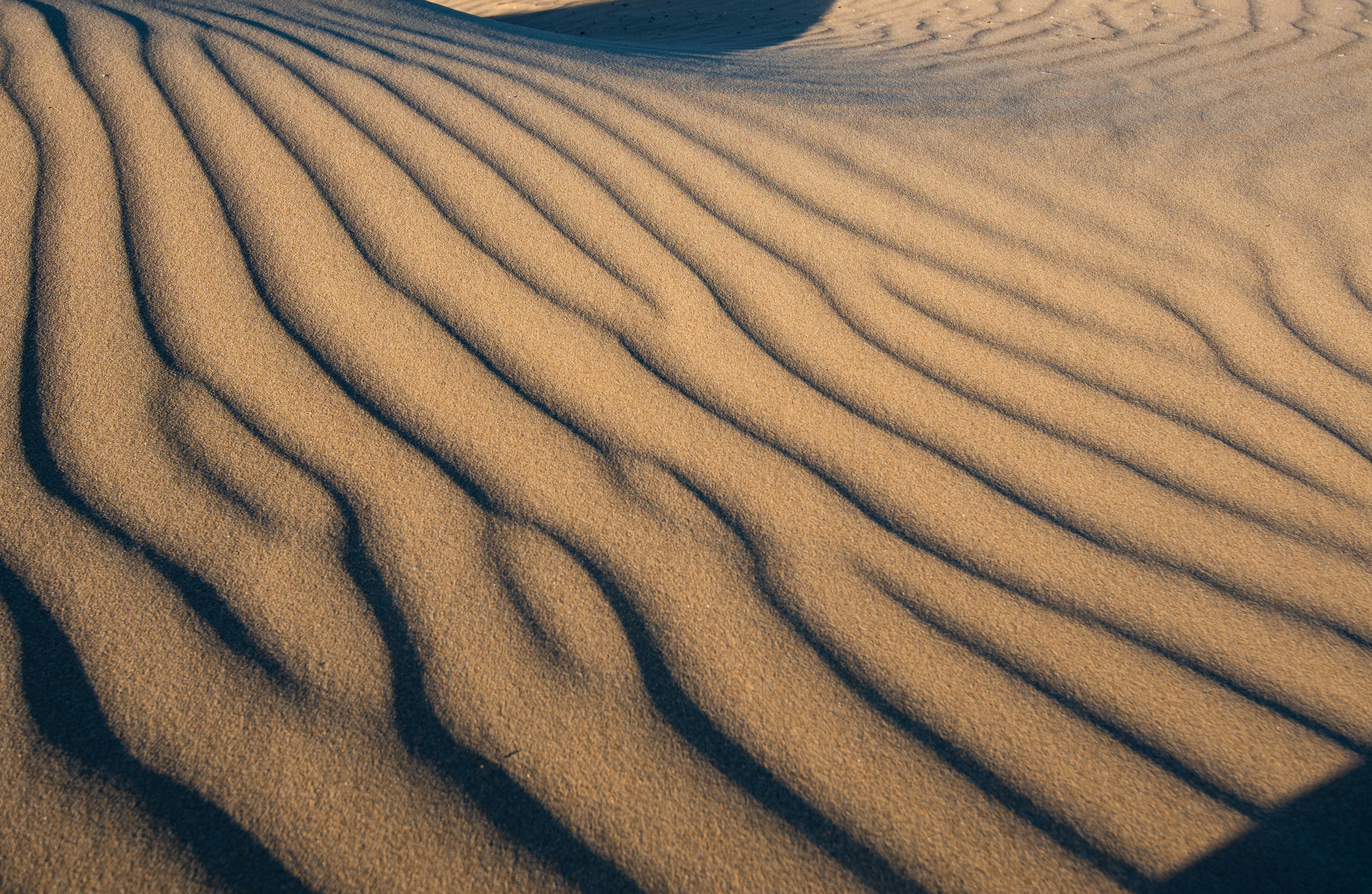 Photo by nataliaraylenegusakova