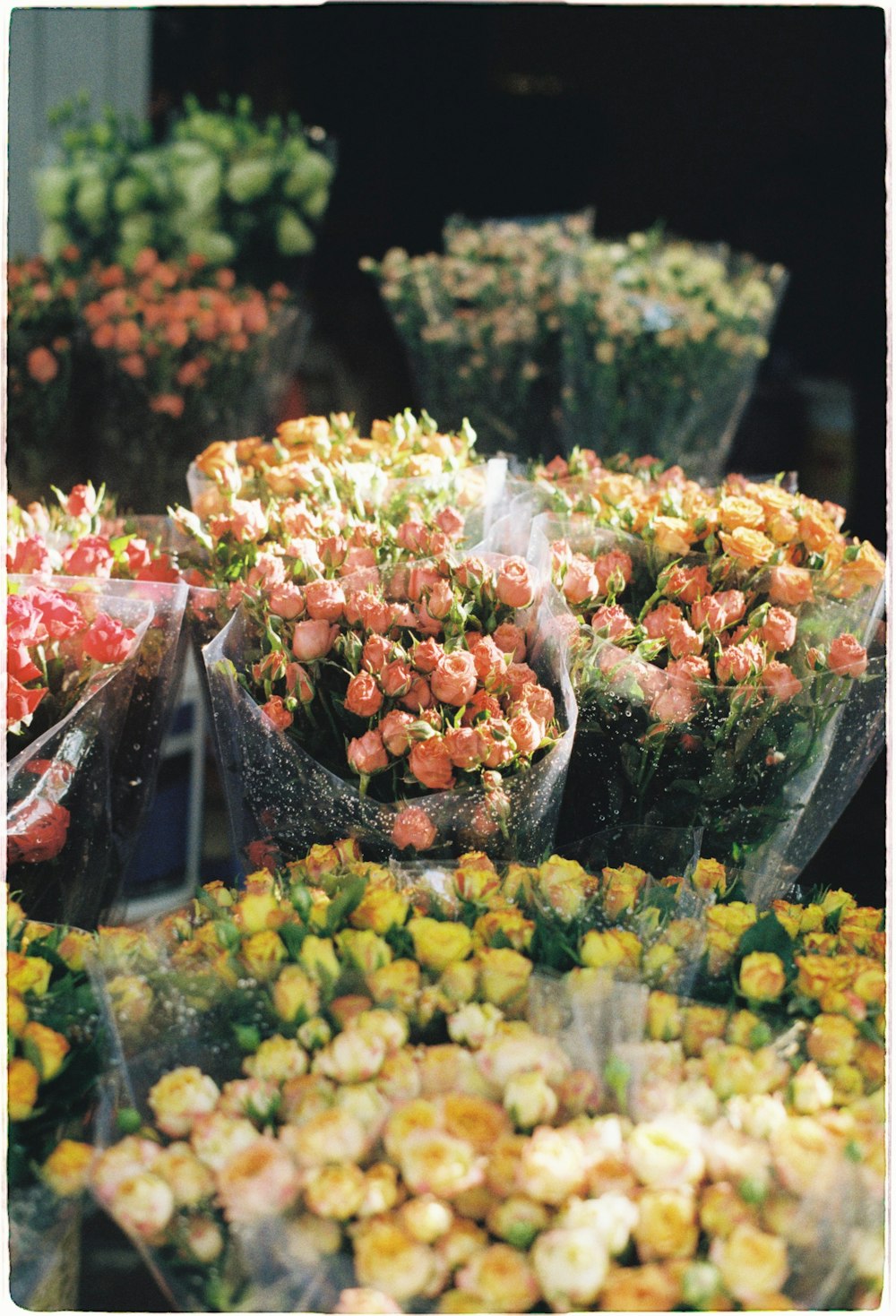 a bunch of flowers that are sitting on a table