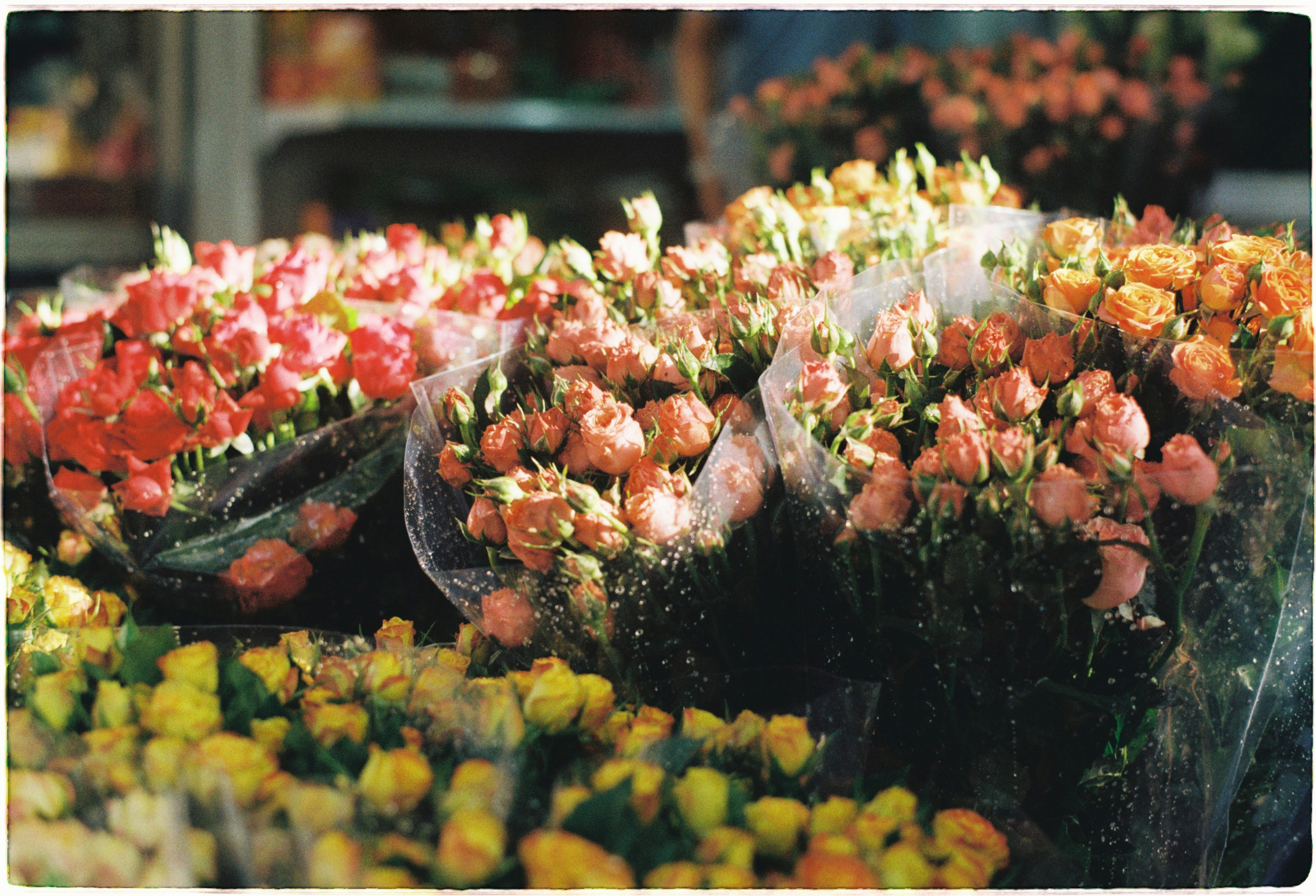 Supply Chain Considerations for THCa Flower Bulk Purchases and Cost Saving Tactics