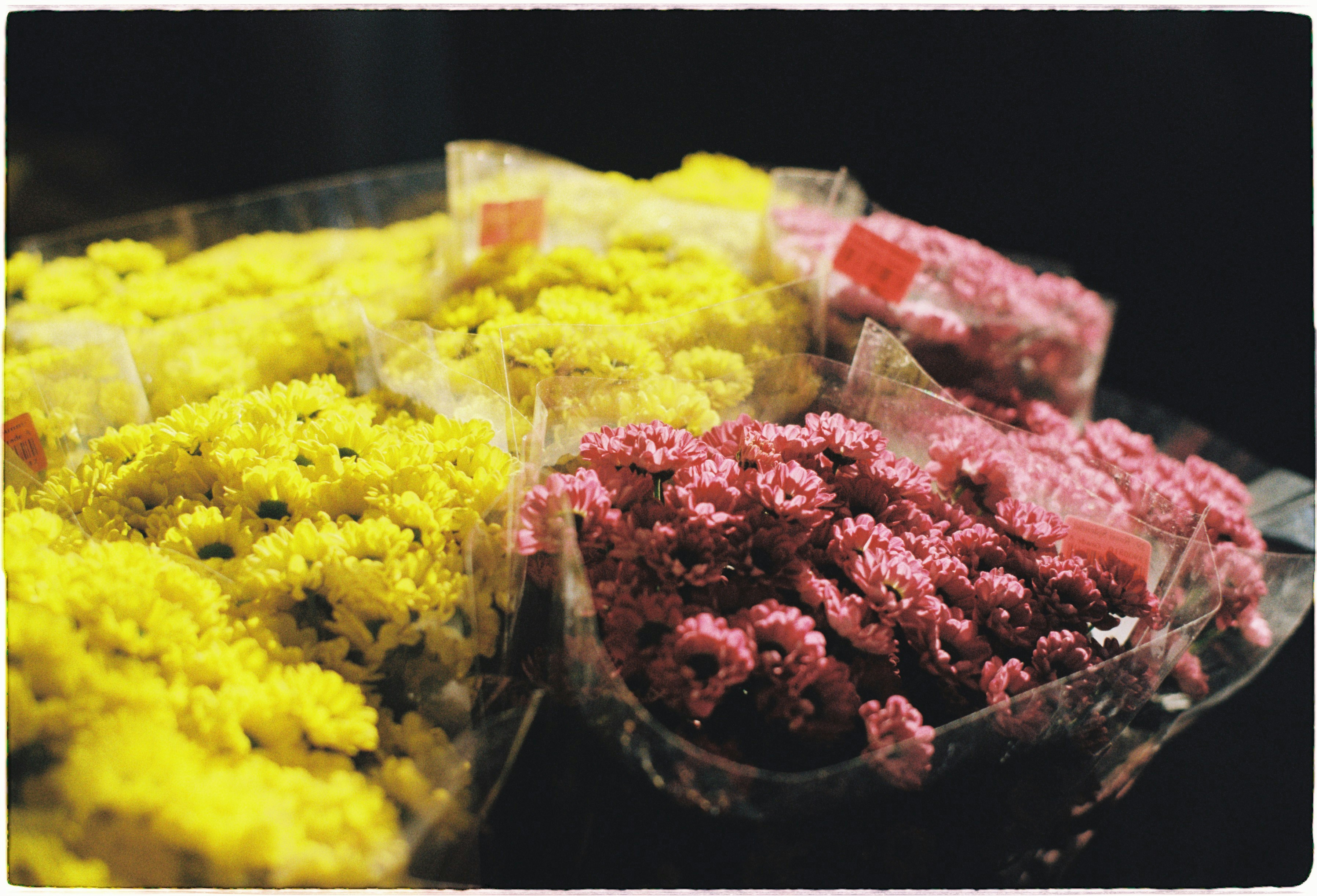 a bunch of flowers that are sitting on a table