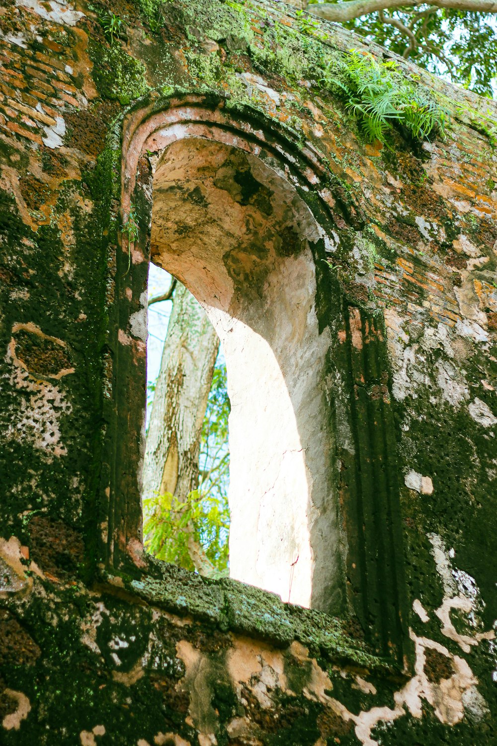 a window in an old building with moss growing on it