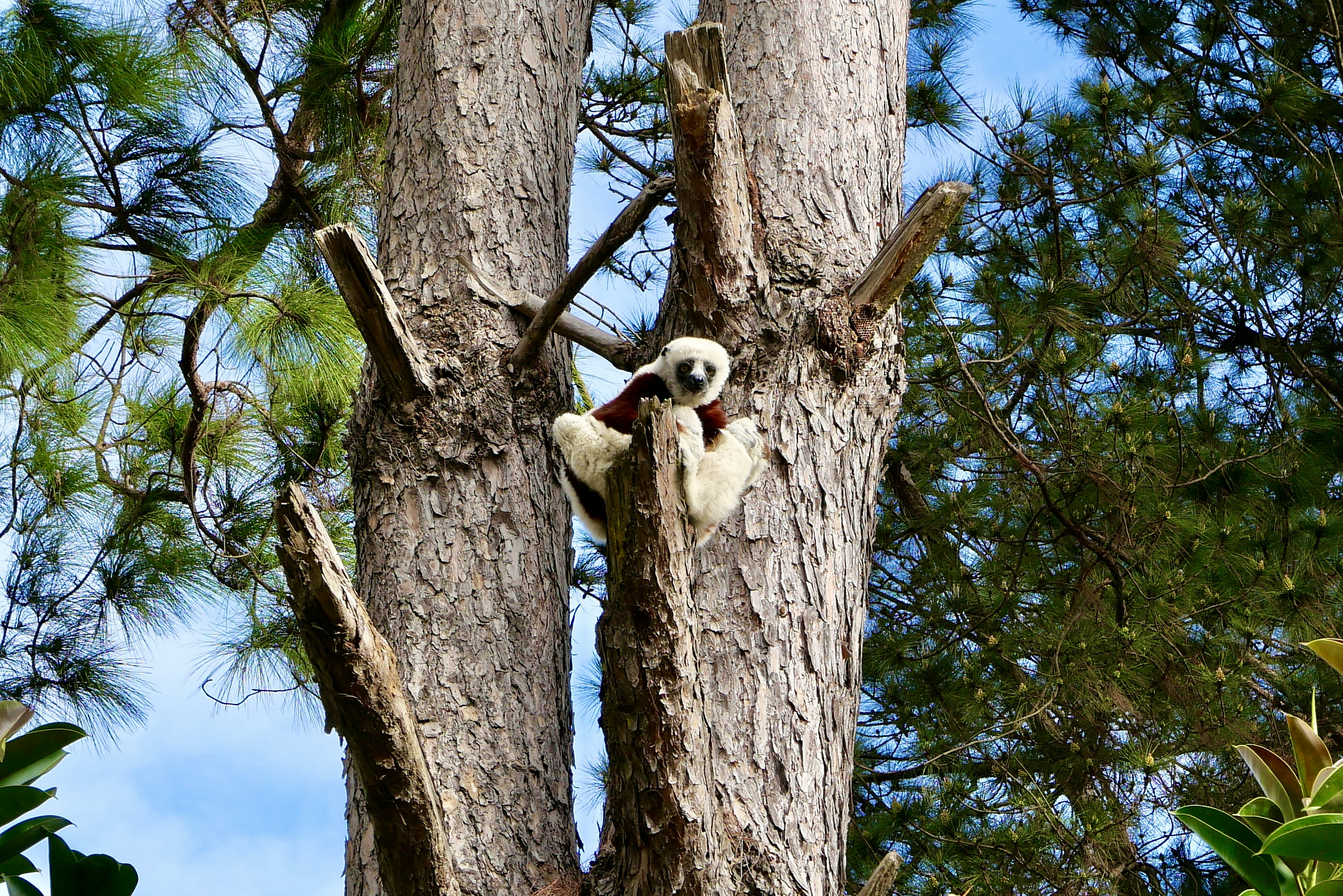 Antananarivo travel photo