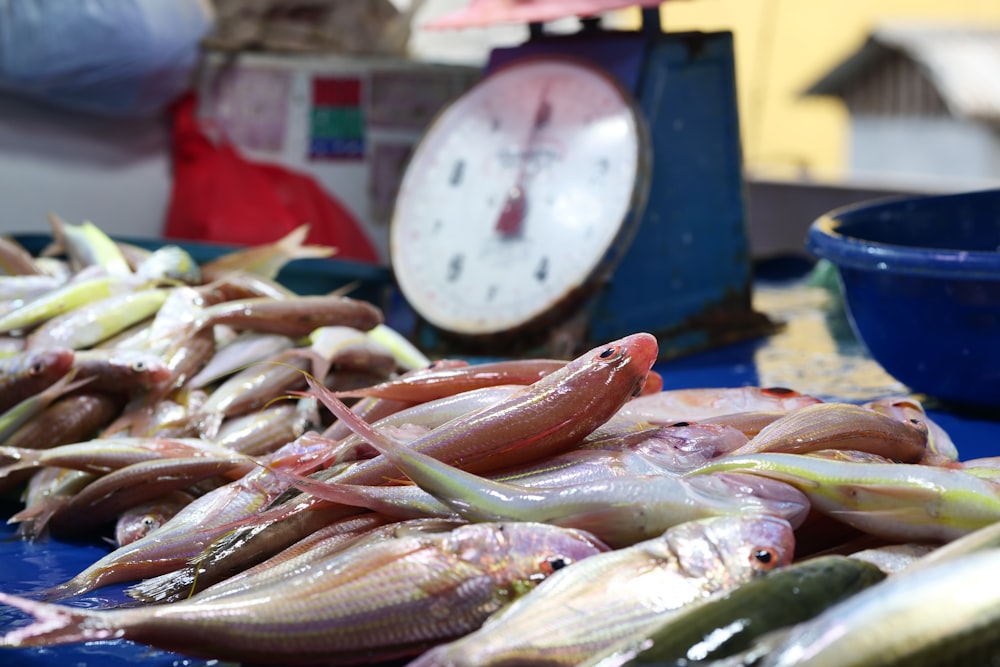 a bunch of fish that are on a table