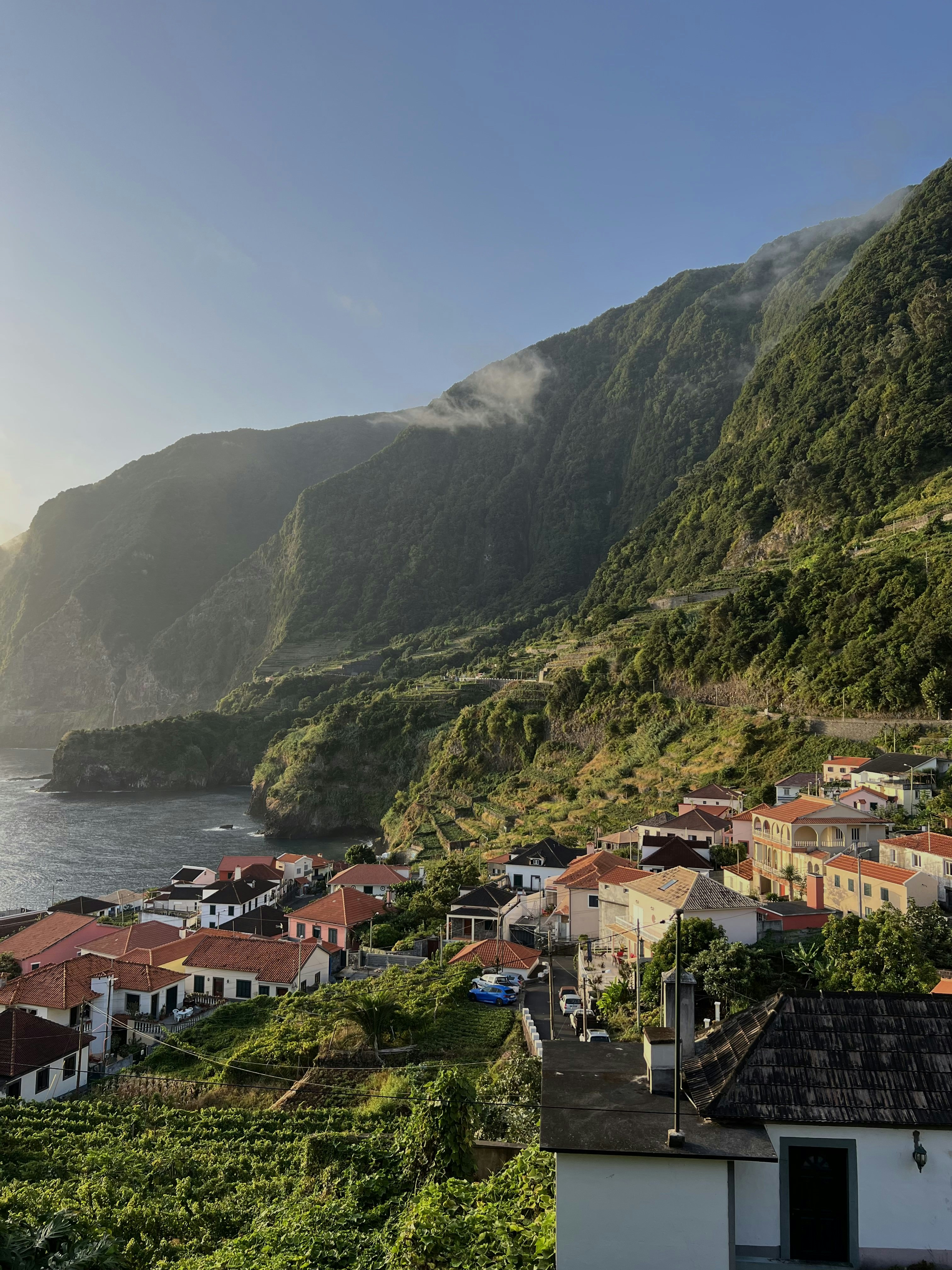 Photo by sadafpourzahed