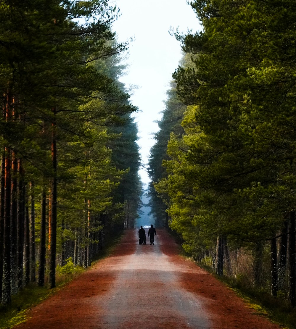 two people walking down a dirt road in the middle of a forest