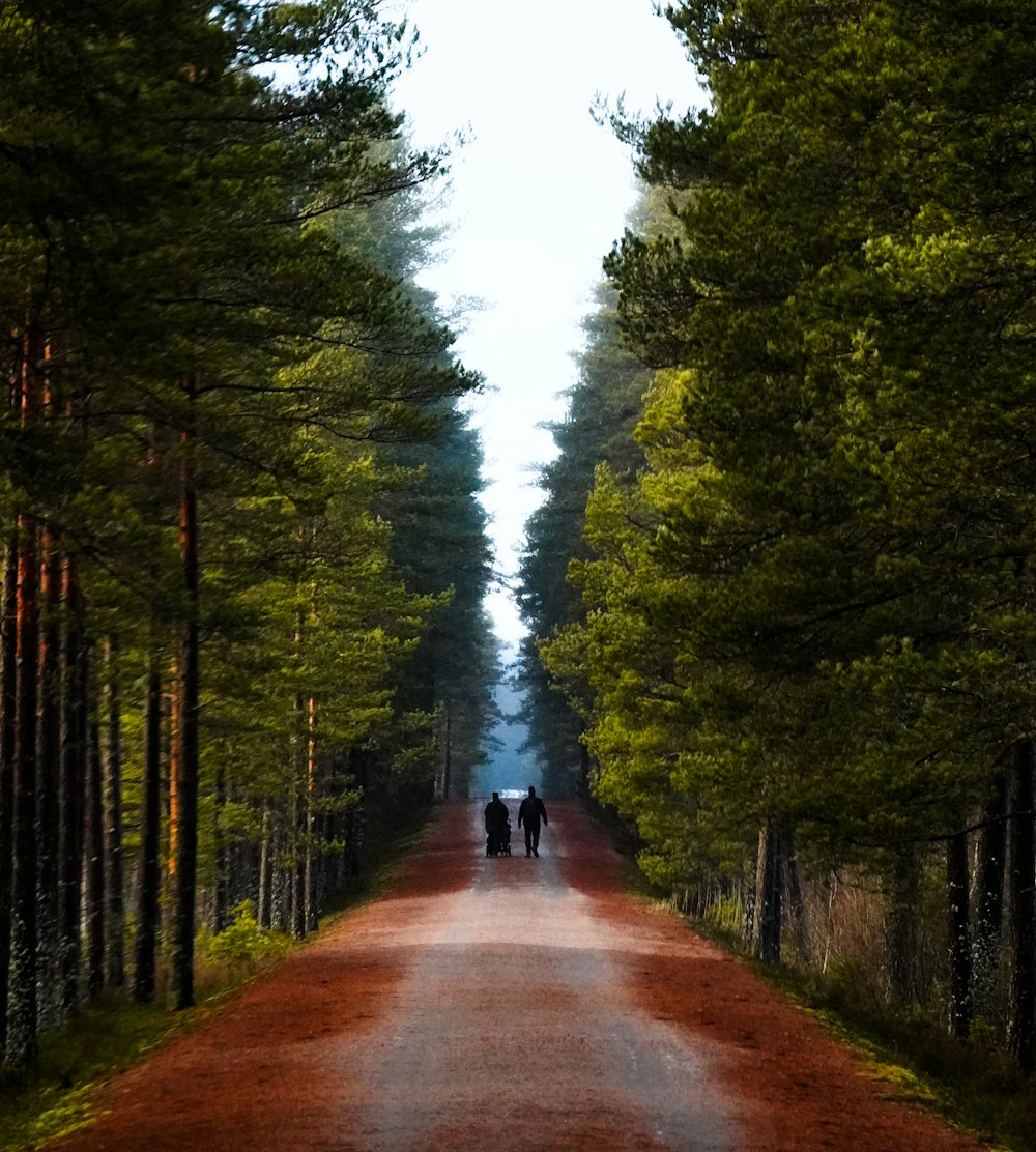 zwei Menschen, die einen Feldweg mitten im Wald entlanggehen