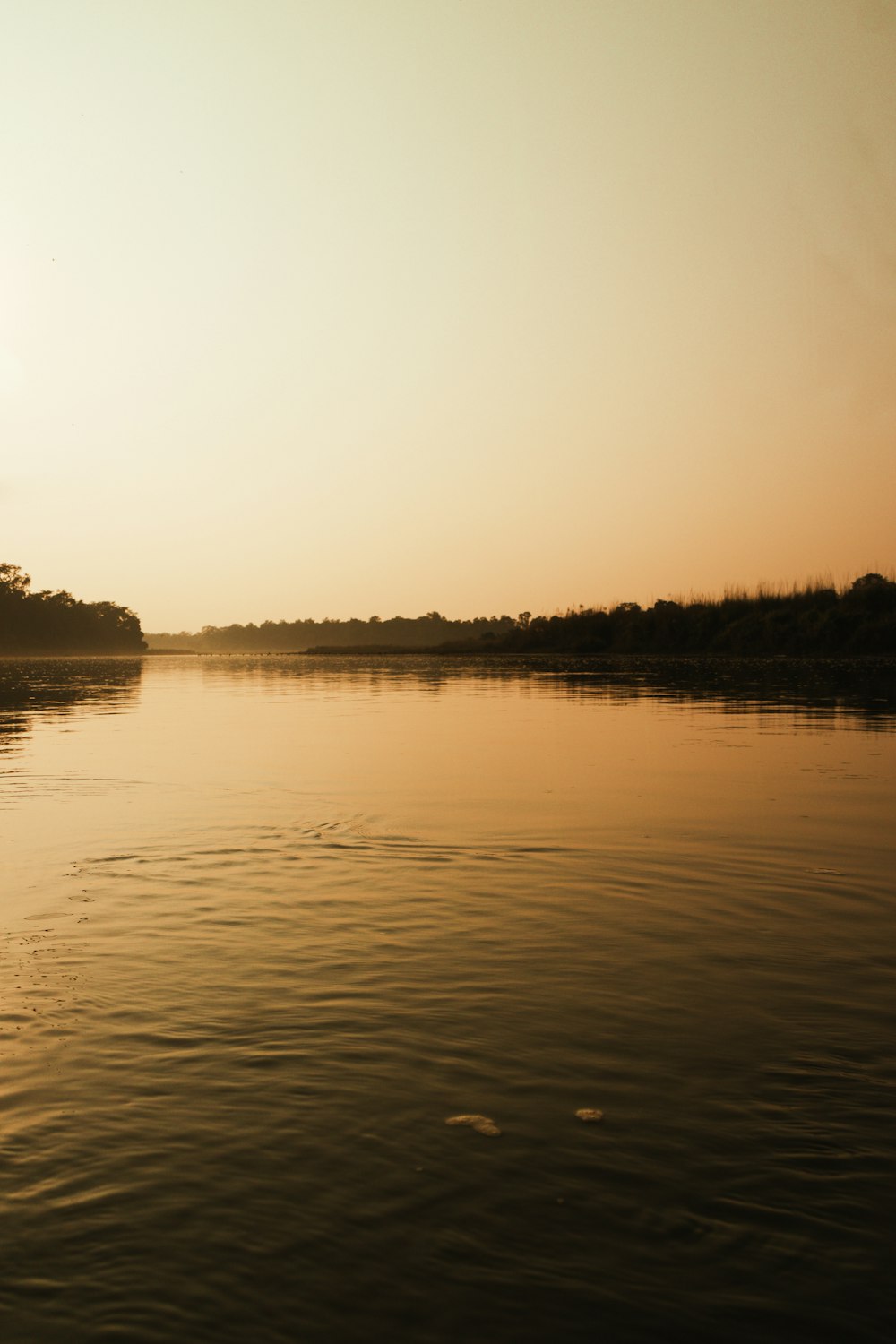 a body of water with trees in the background