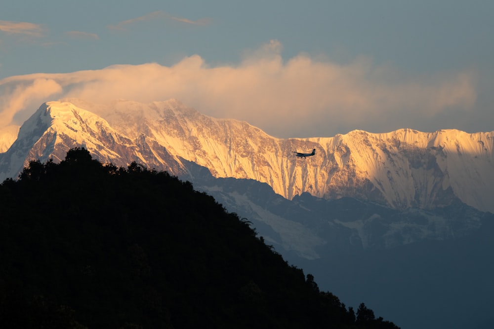 a bird flying over a mountain covered in snow