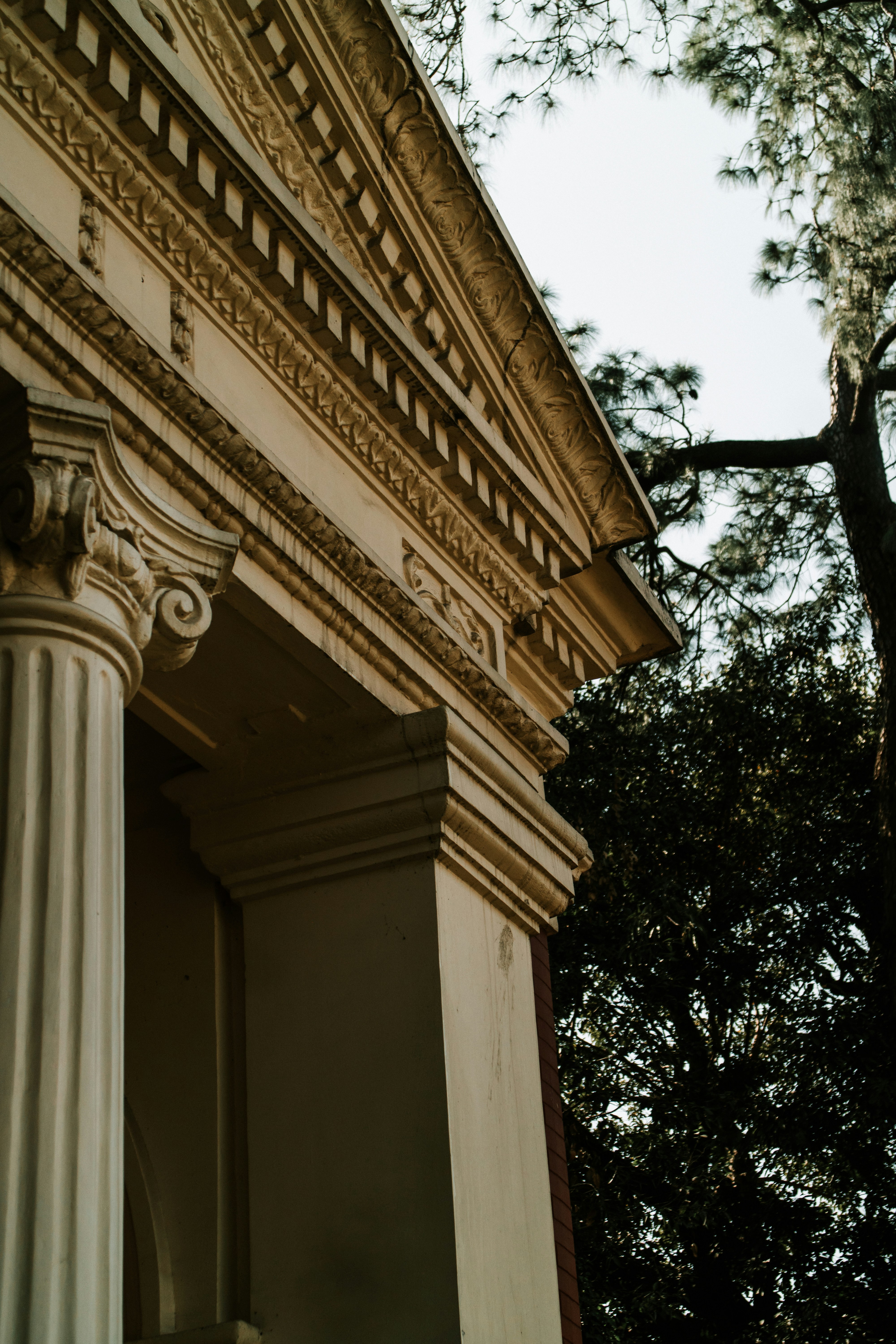 Photo by dhruvinpandya4