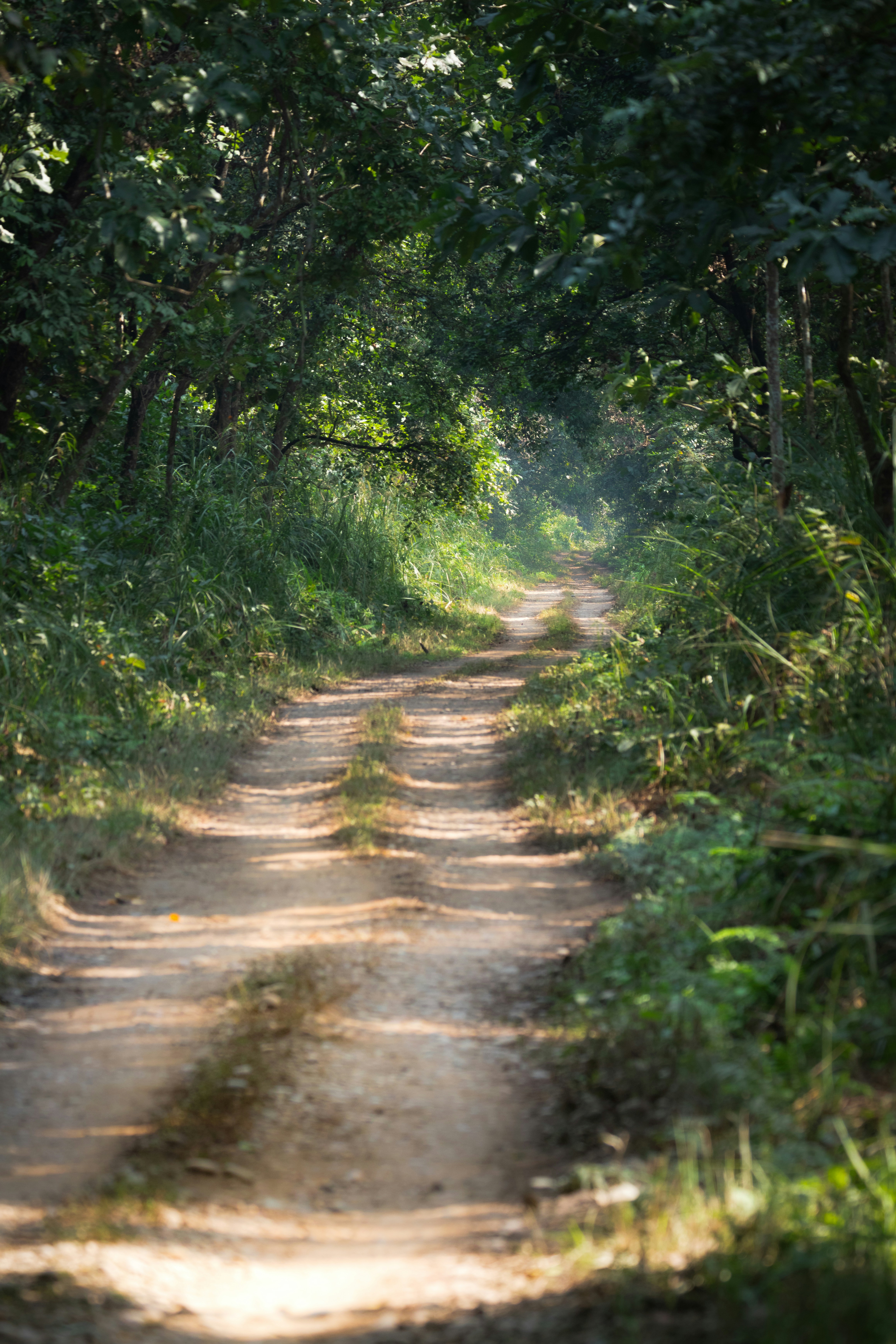 Photo by dhruvinpandya4