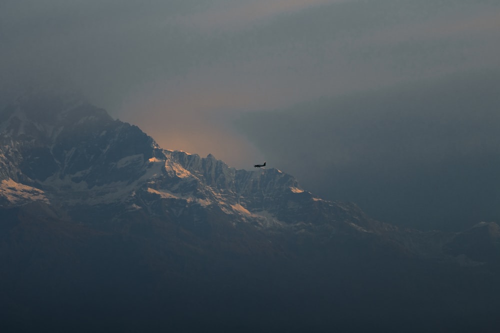 a bird flying in front of a mountain range